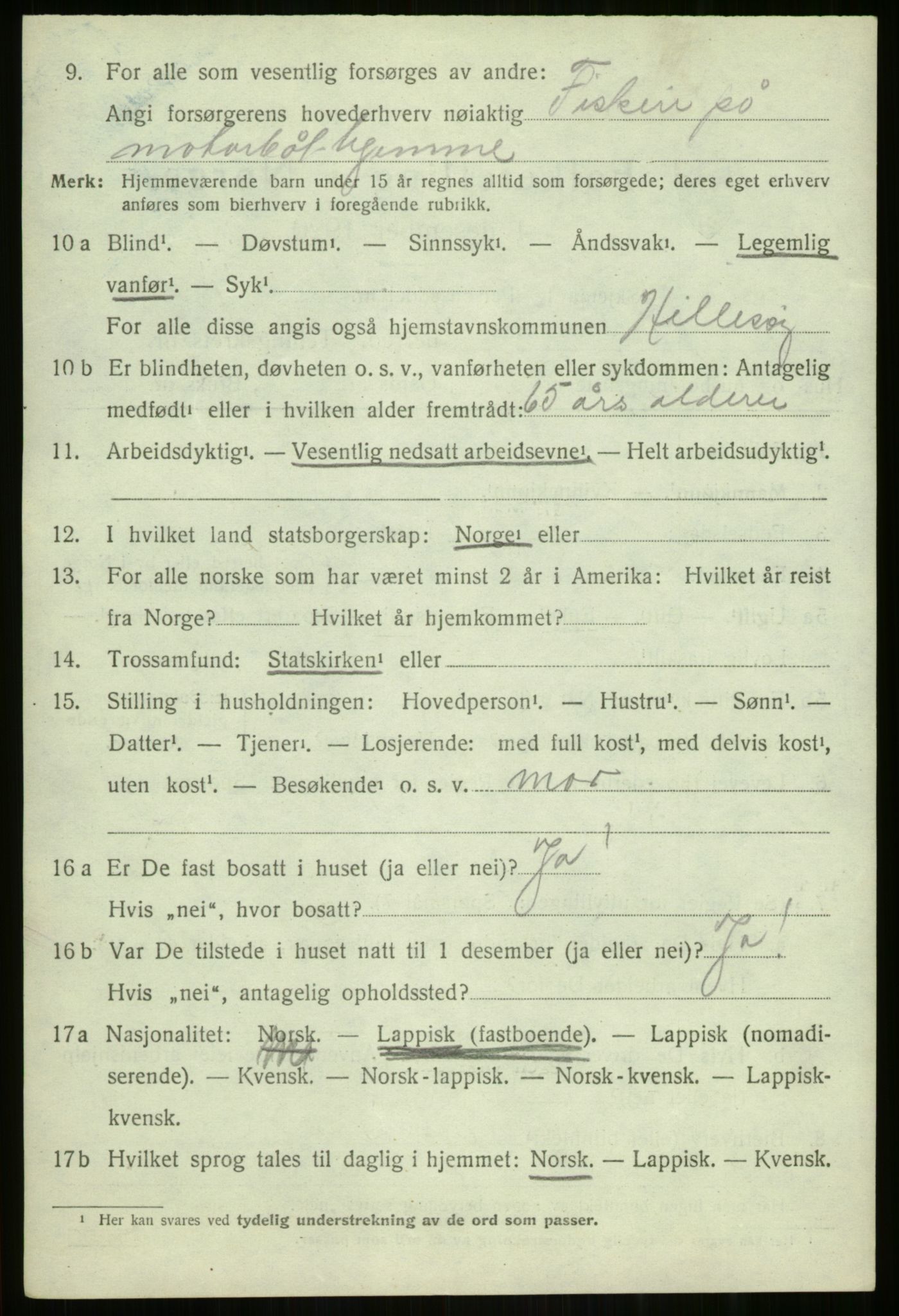 SATØ, 1920 census for Hillesøy, 1920, p. 1246