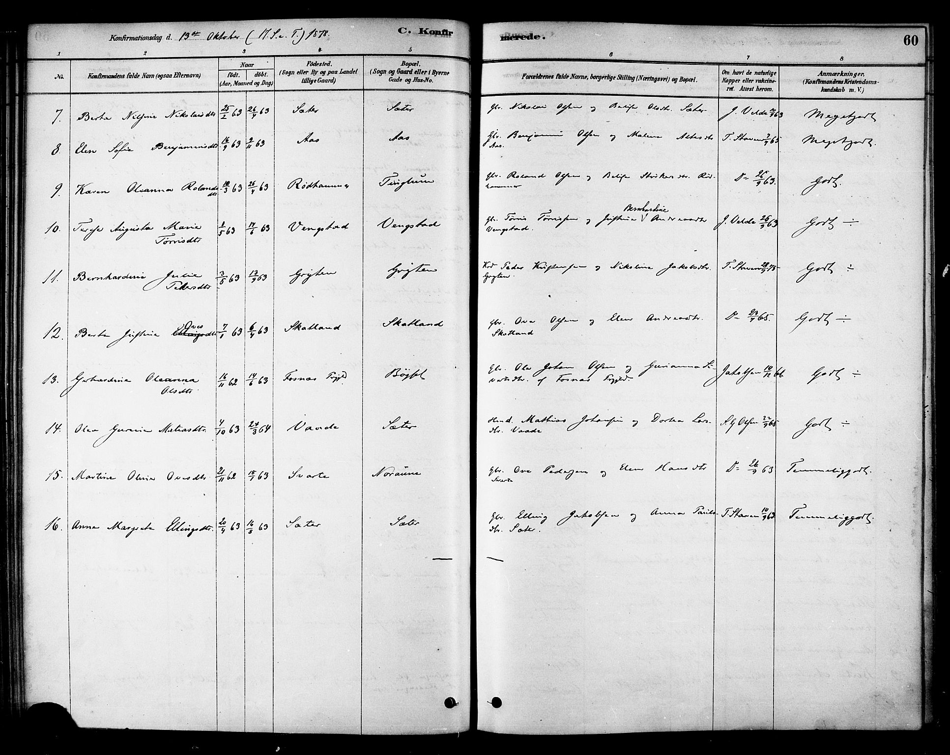 Ministerialprotokoller, klokkerbøker og fødselsregistre - Nord-Trøndelag, AV/SAT-A-1458/742/L0408: Parish register (official) no. 742A01, 1878-1890, p. 60