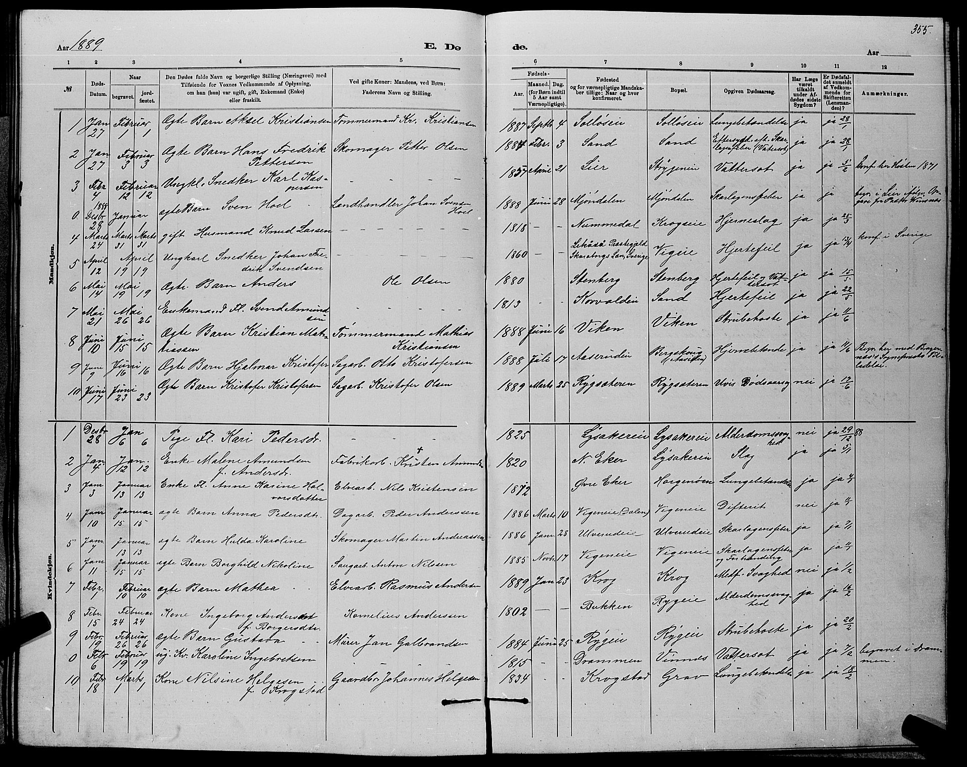 Nedre Eiker kirkebøker, AV/SAKO-A-612/G/Ga/L0002: Parish register (copy) no. 2, 1880-1896, p. 355