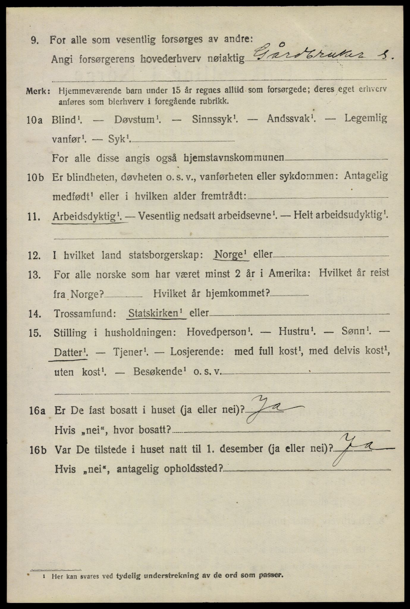 SAO, 1920 census for Nes, 1920, p. 6619