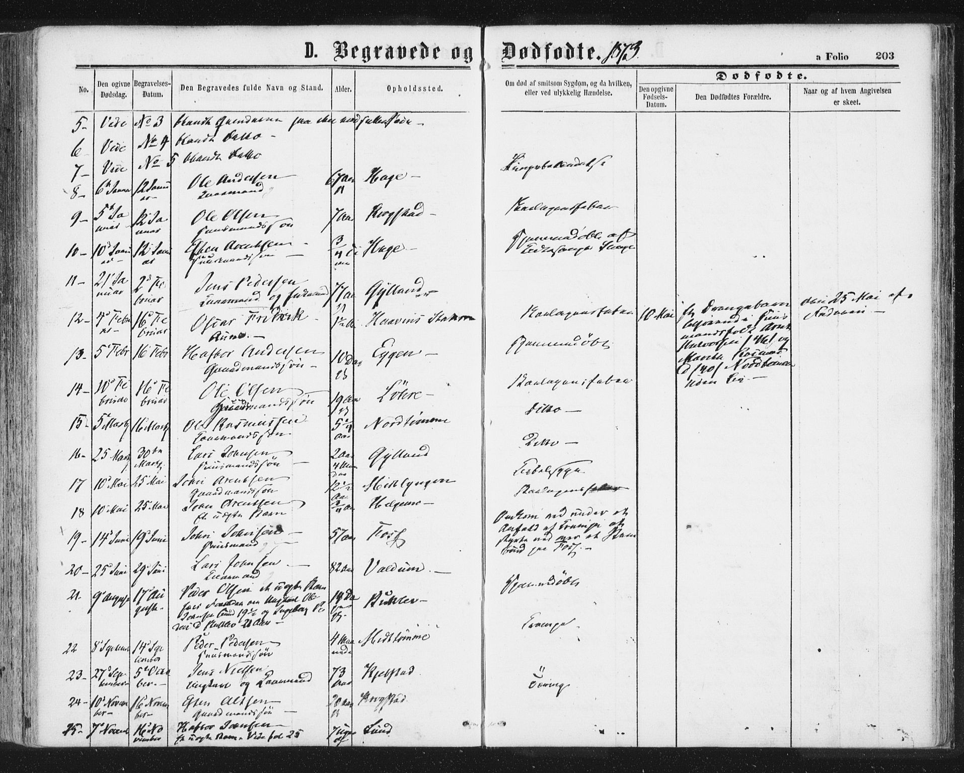 Ministerialprotokoller, klokkerbøker og fødselsregistre - Sør-Trøndelag, AV/SAT-A-1456/692/L1104: Parish register (official) no. 692A04, 1862-1878, p. 203