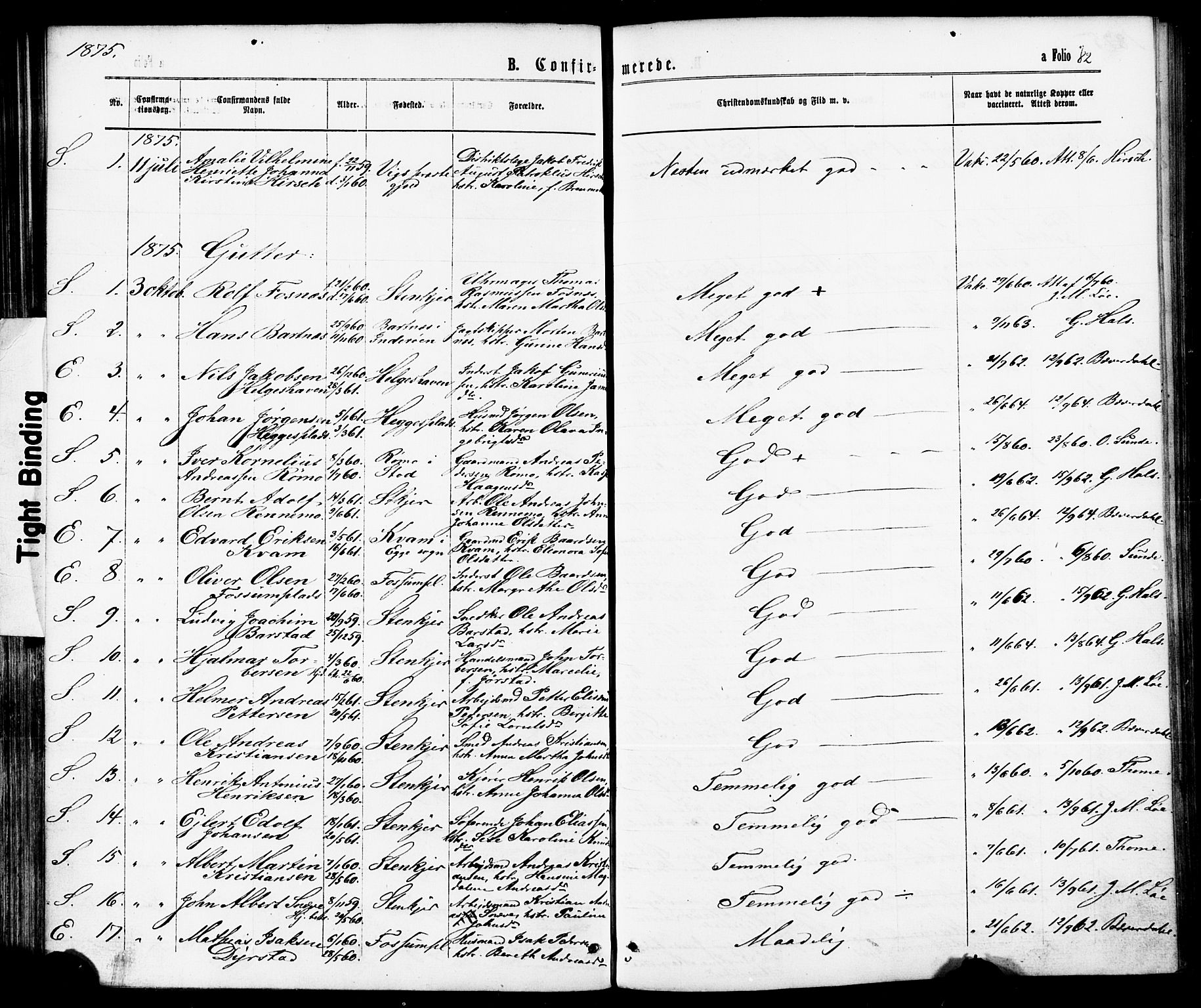 Ministerialprotokoller, klokkerbøker og fødselsregistre - Nord-Trøndelag, AV/SAT-A-1458/739/L0370: Parish register (official) no. 739A02, 1868-1881, p. 82