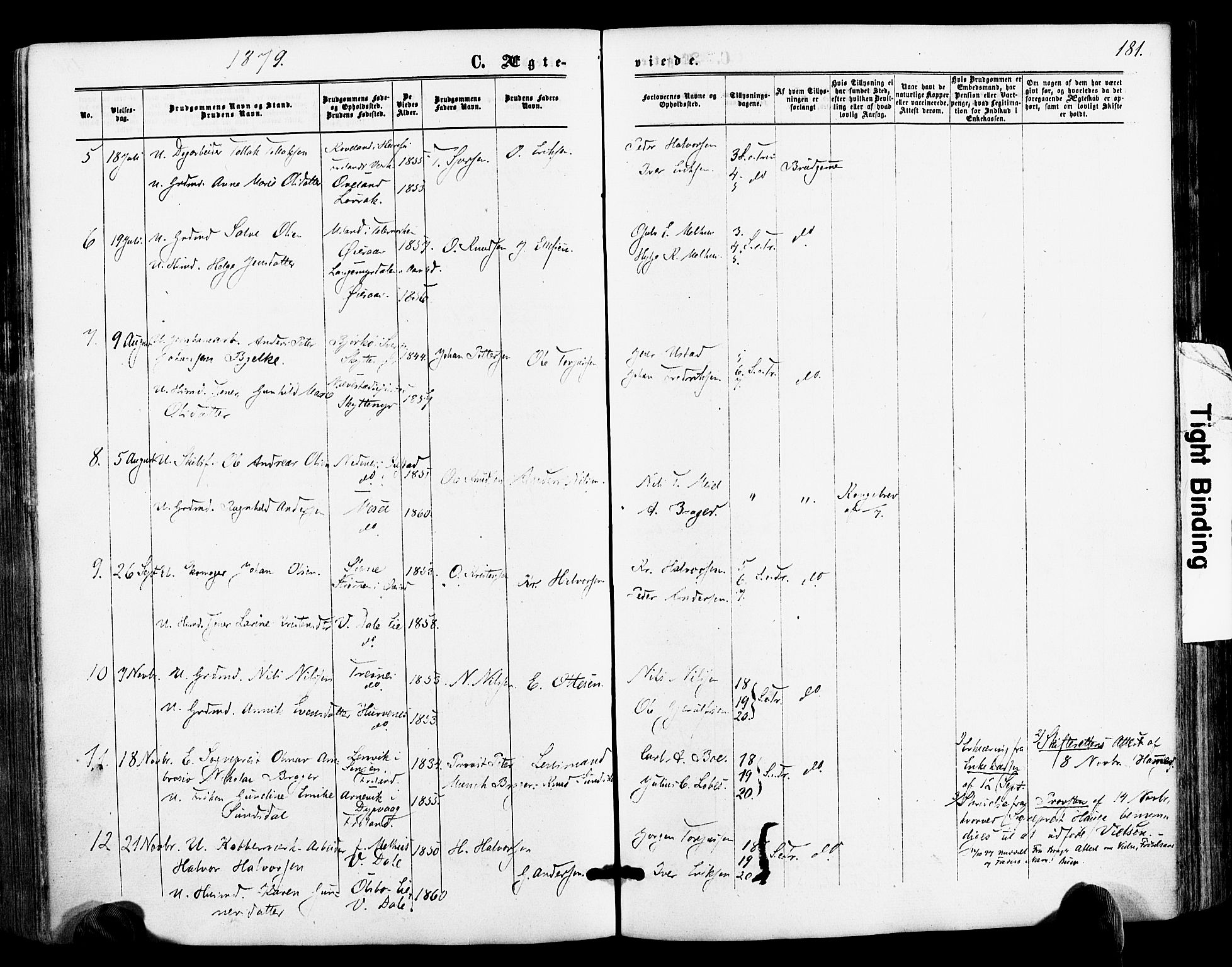 Froland sokneprestkontor, AV/SAK-1111-0013/F/Fa/L0003: Parish register (official) no. A 3, 1864-1881, p. 181