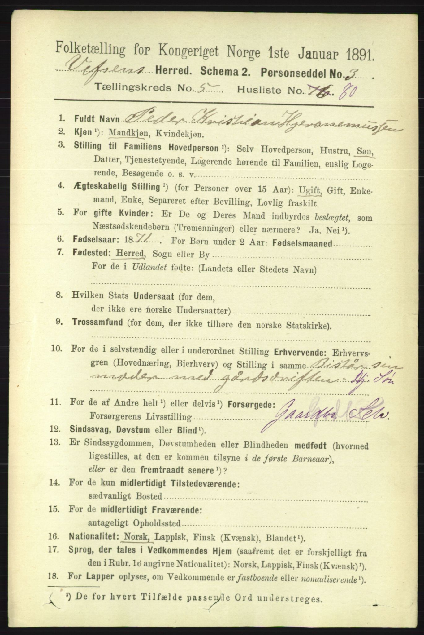 RA, 1891 census for 1824 Vefsn, 1891, p. 2661