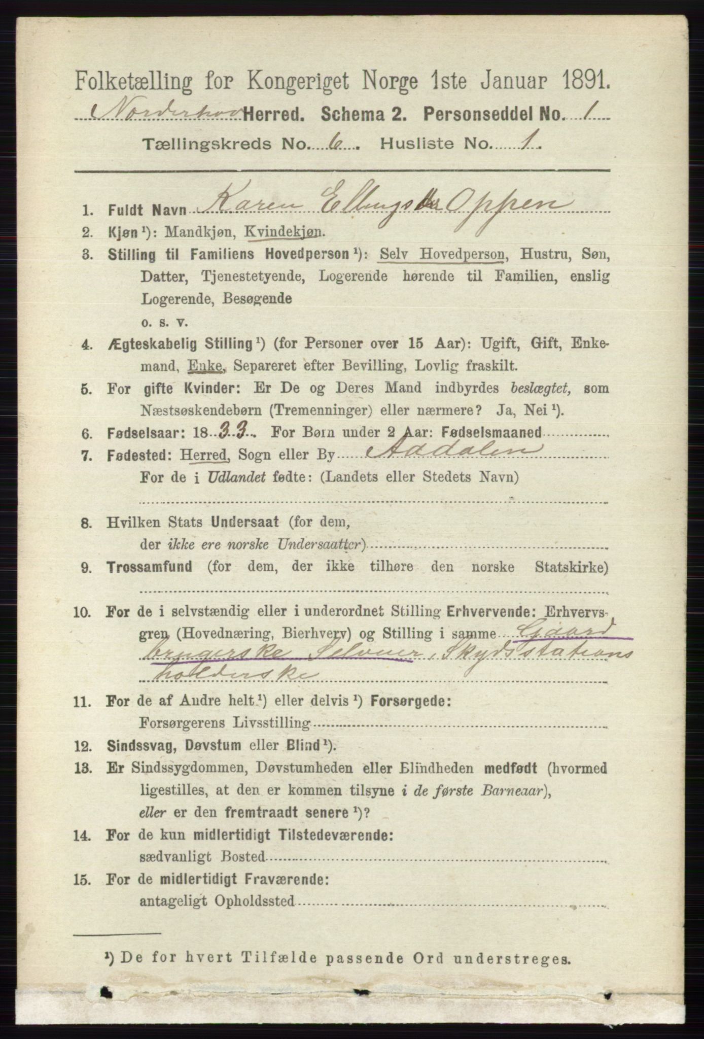 RA, 1891 census for 0613 Norderhov, 1891, p. 3998