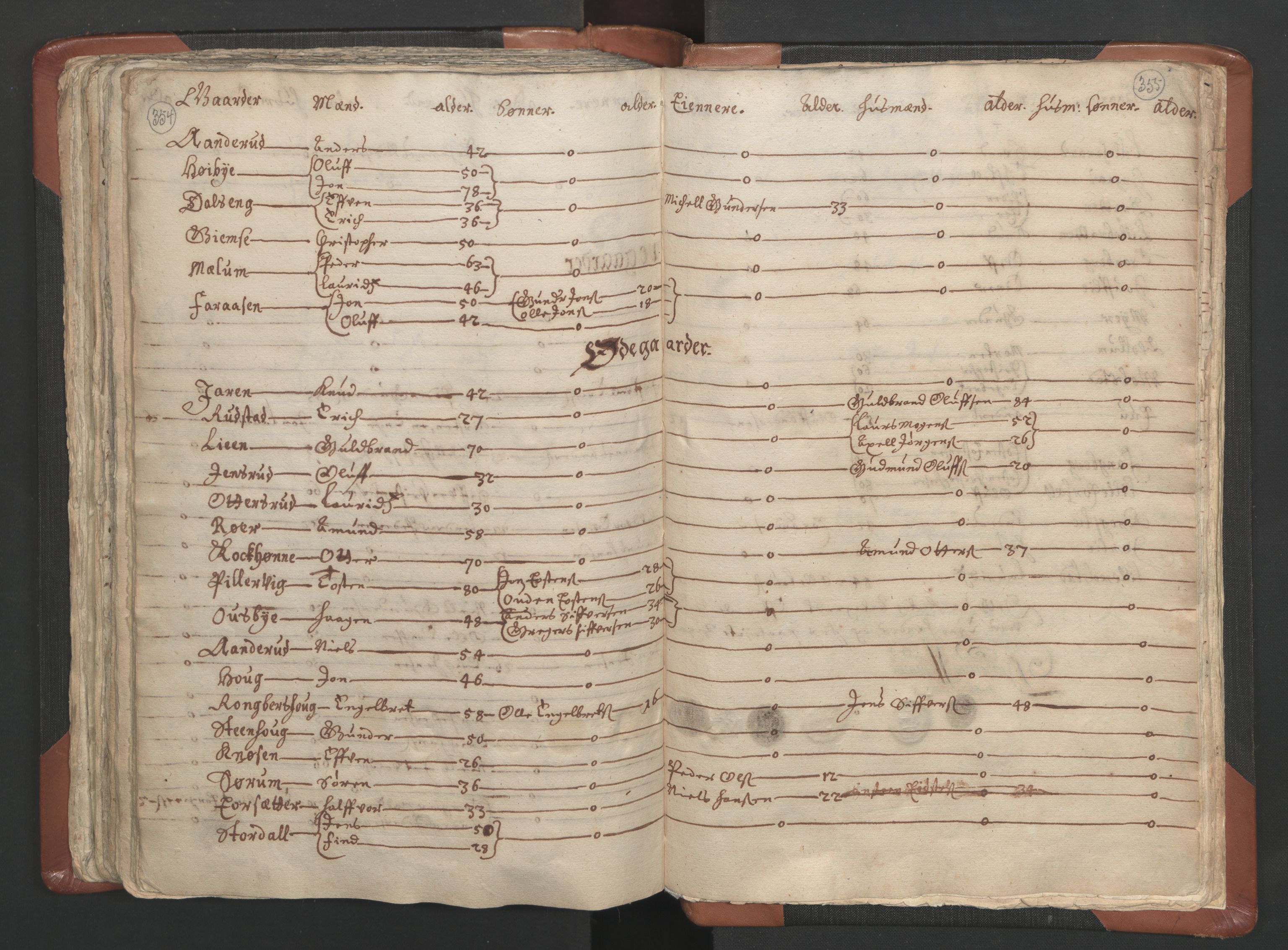 RA, Vicar's Census 1664-1666, no. 5: Hedmark deanery, 1664-1666, p. 354-355