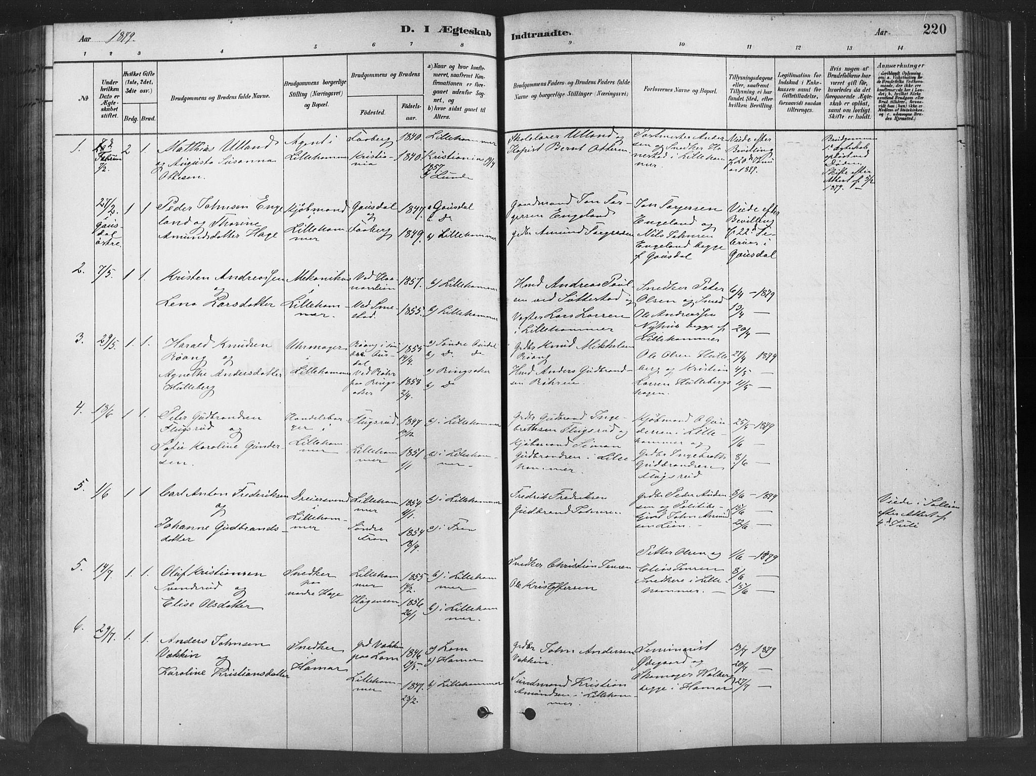 Fåberg prestekontor, SAH/PREST-086/H/Ha/Haa/L0010: Parish register (official) no. 10, 1879-1900, p. 220