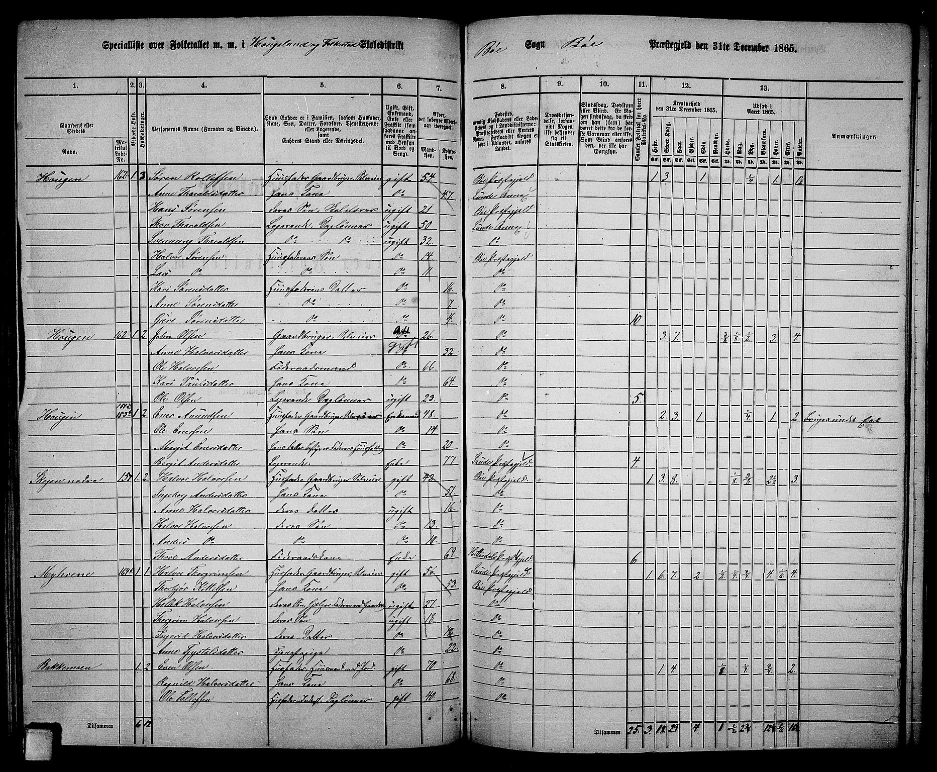 RA, 1865 census for Bø, 1865, p. 120
