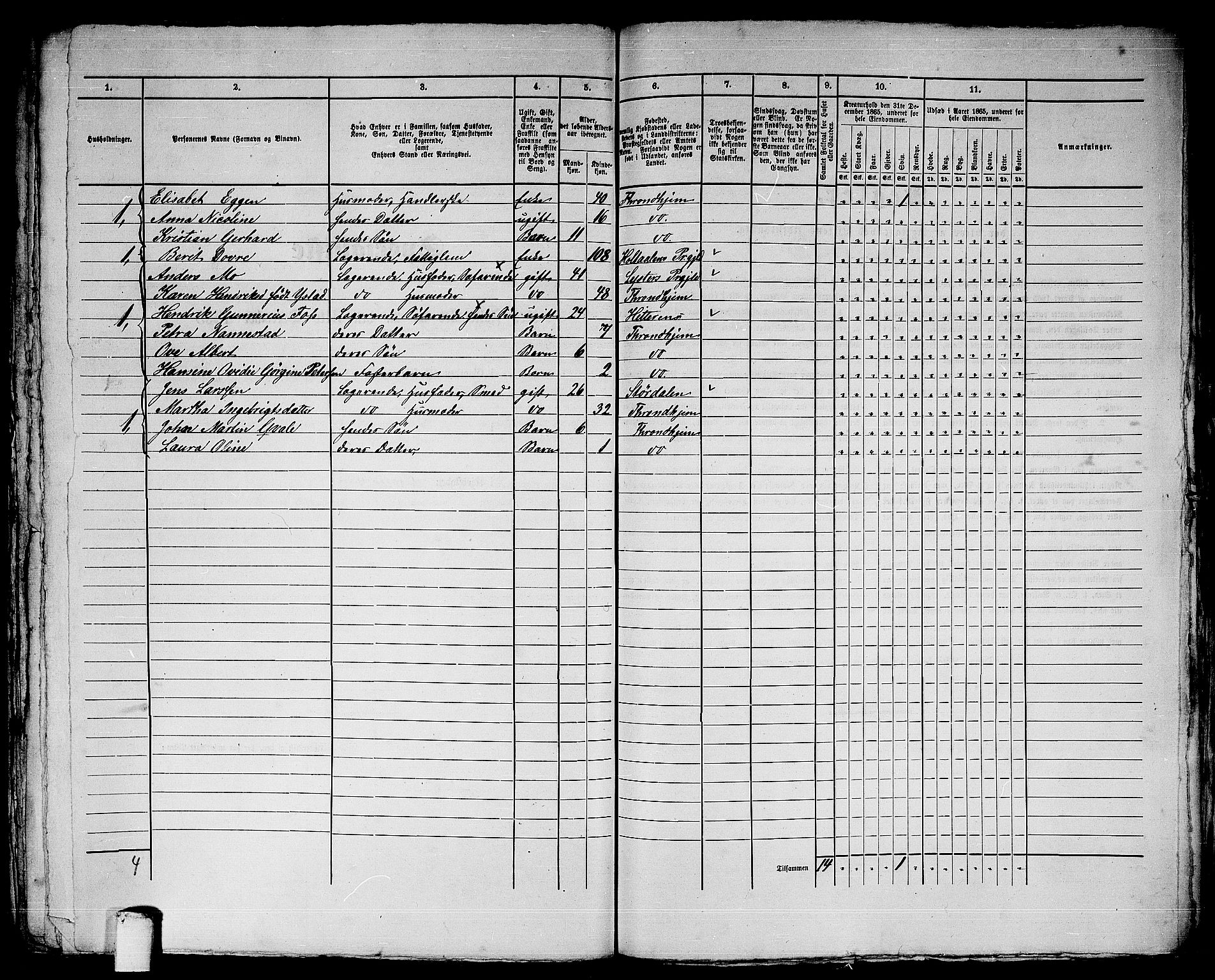 RA, 1865 census for Trondheim, 1865, p. 3113