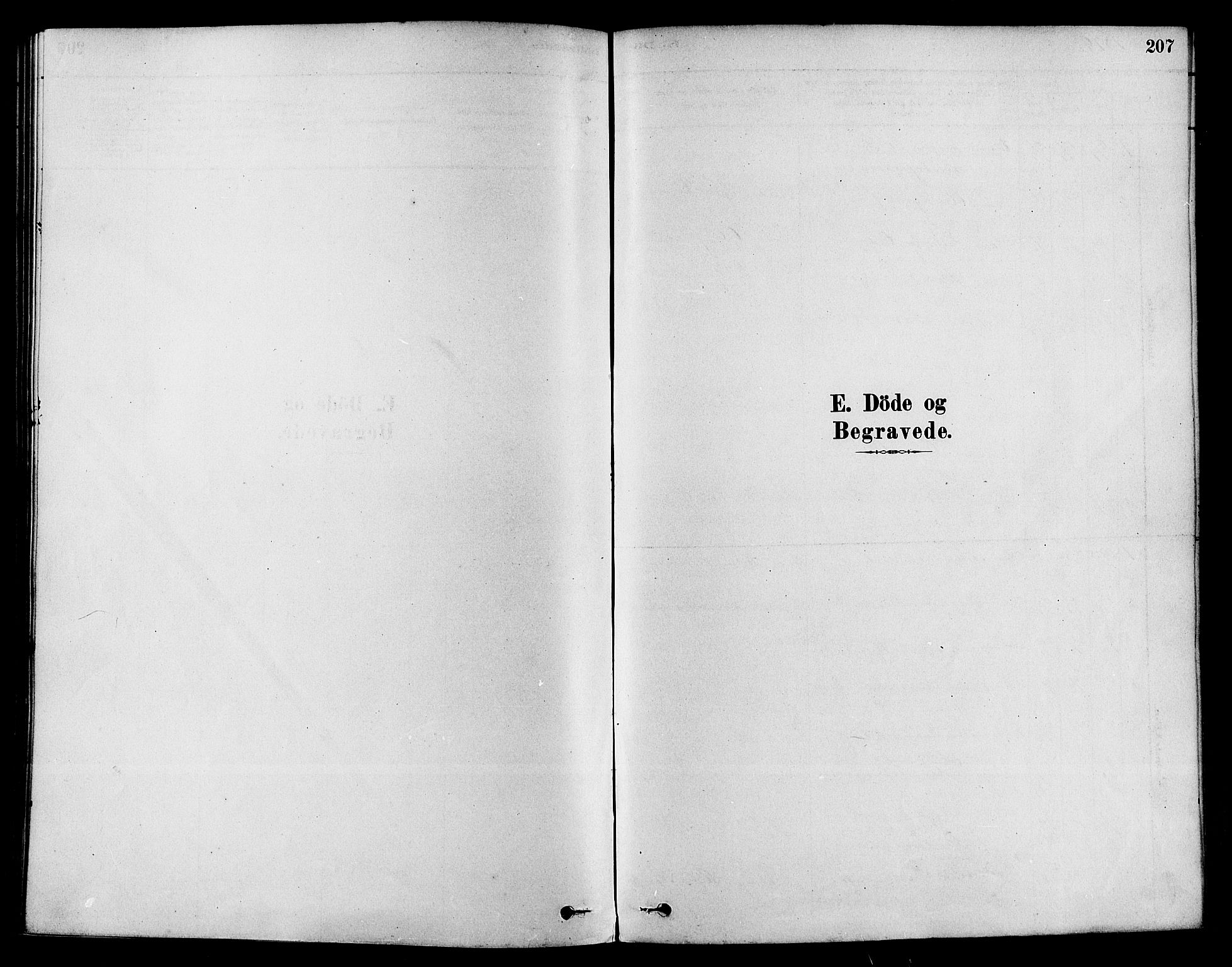 Sigdal kirkebøker, SAKO/A-245/F/Fa/L0011: Parish register (official) no. I 11, 1879-1887, p. 207