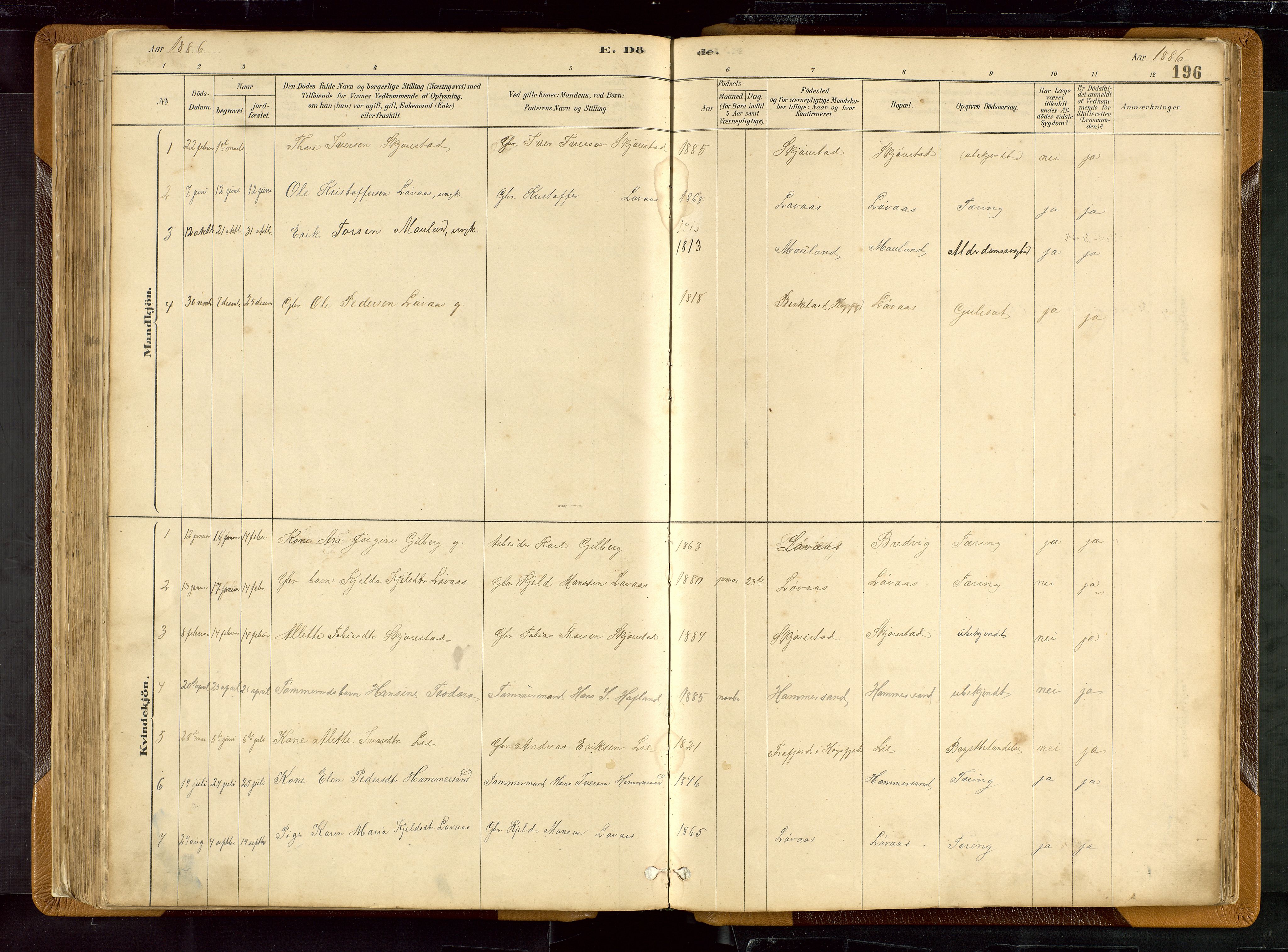 Hetland sokneprestkontor, SAST/A-101826/30/30BB/L0007: Parish register (copy) no. B 7, 1878-1910, p. 196