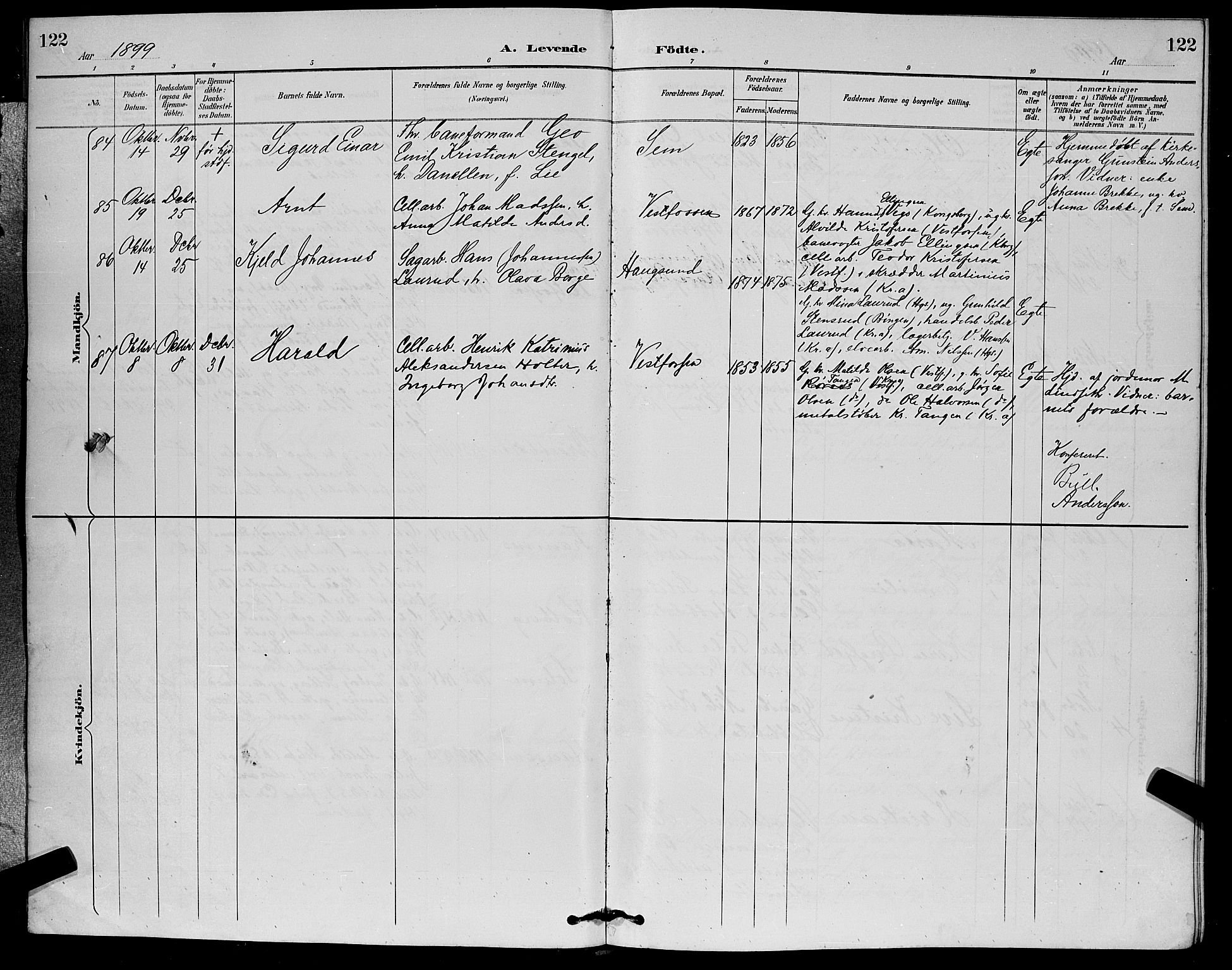 Eiker kirkebøker, SAKO/A-4/G/Ga/L0007: Parish register (copy) no. I 7, 1893-1902, p. 122