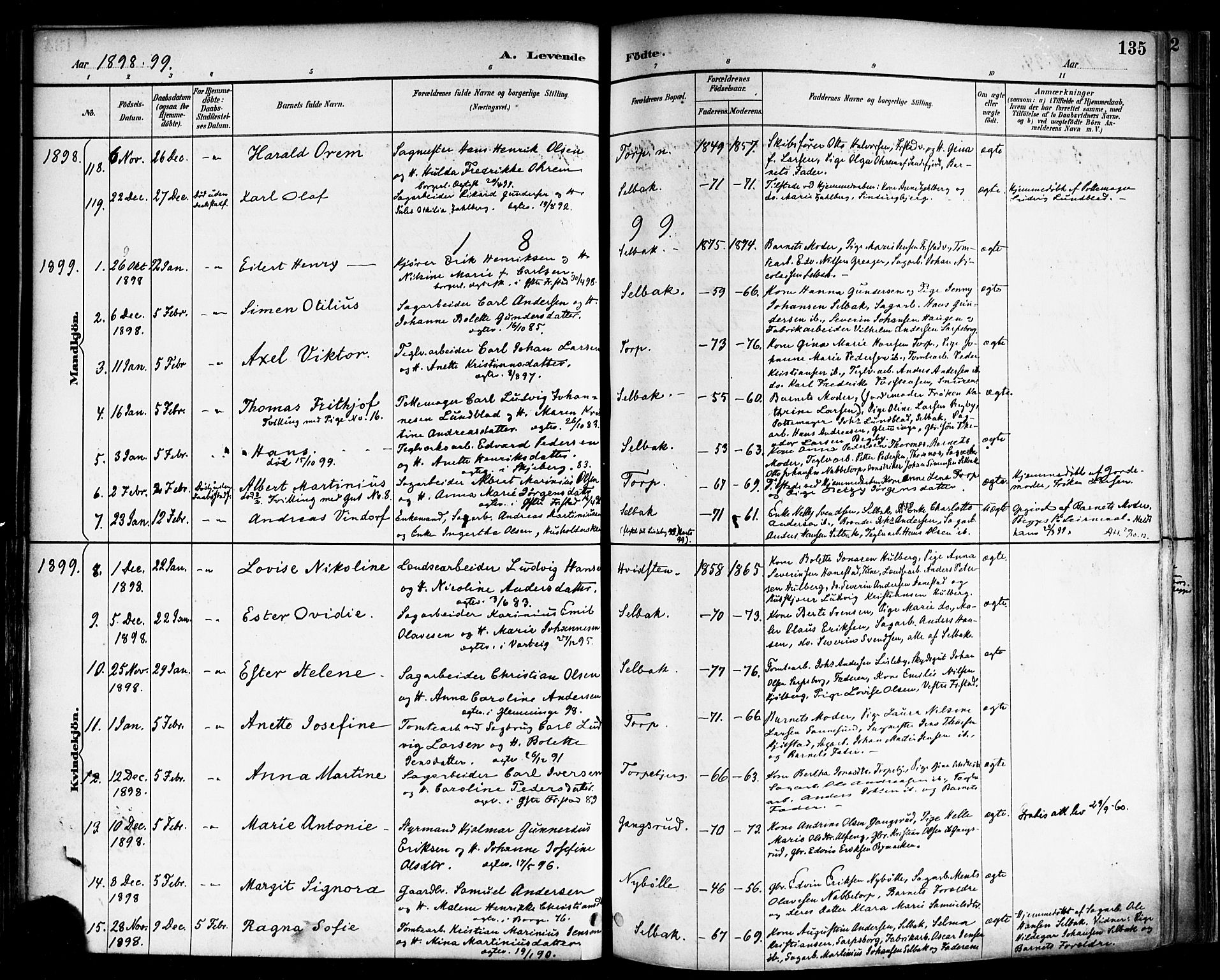 Borge prestekontor Kirkebøker, SAO/A-10903/F/Fa/L0008: Parish register (official) no. I 8A, 1887-1902, p. 135