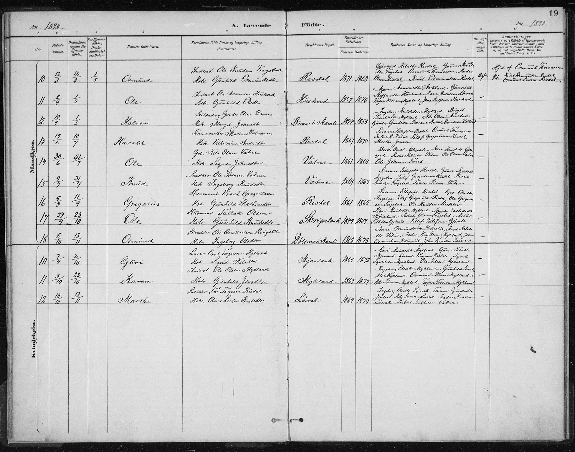 Herefoss sokneprestkontor, AV/SAK-1111-0019/F/Fa/Fac/L0002: Parish register (official) no. A 2, 1887-1915, p. 19