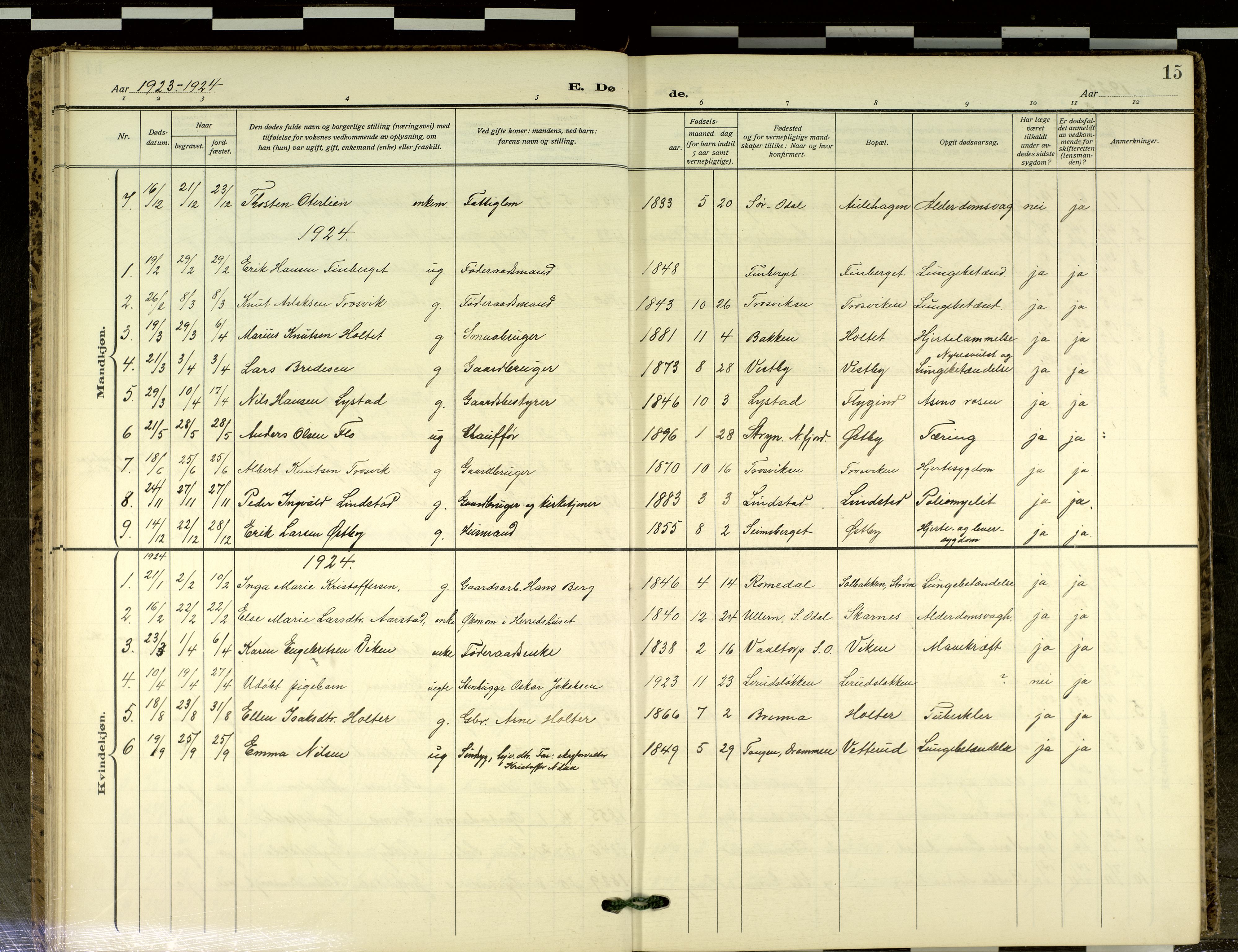 Sør-Odal prestekontor, AV/SAH-PREST-030/H/Ha/Haa/L0021: Parish register (official) no. 21, 1909-2012, p. 15