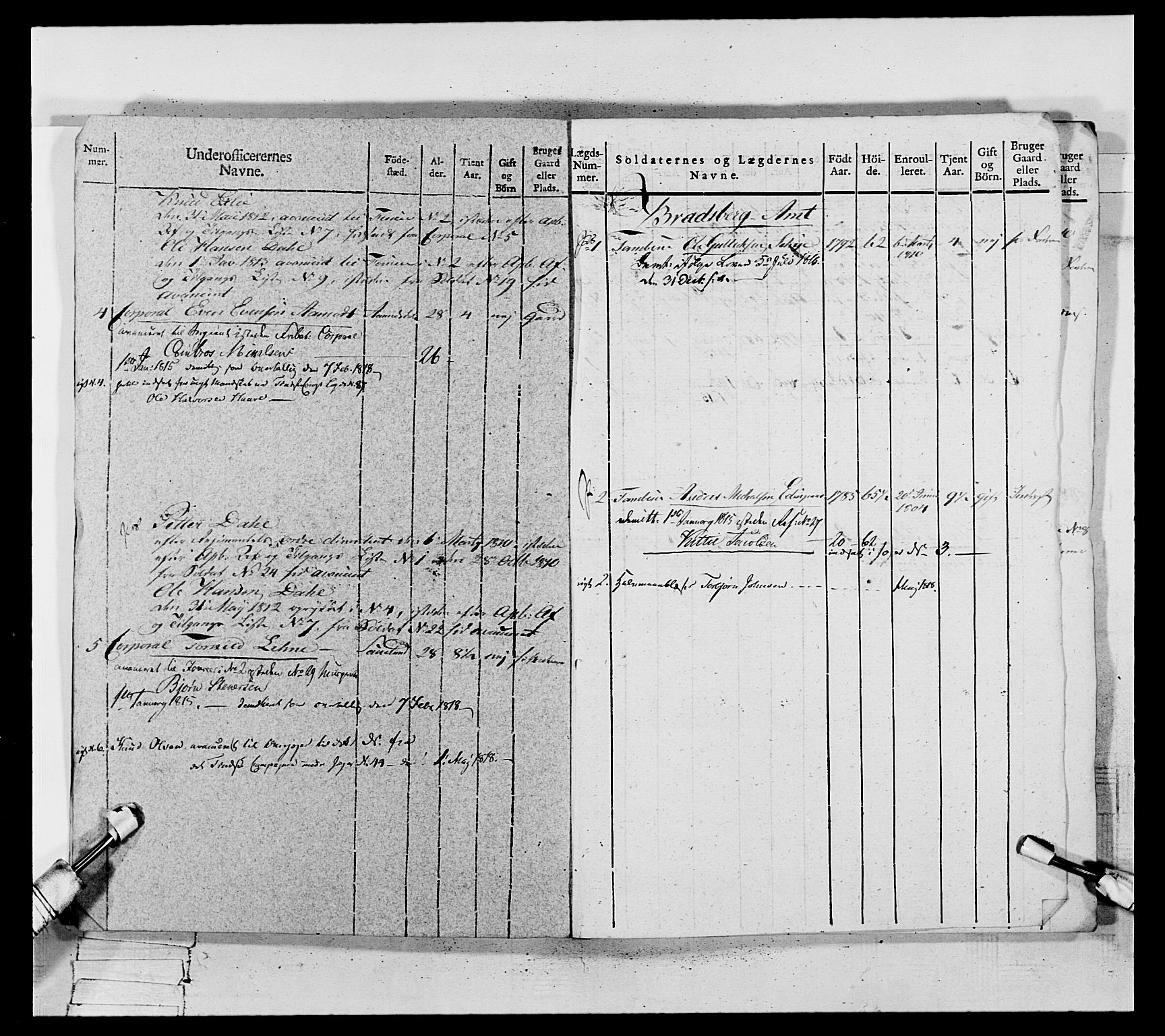 Generalitets- og kommissariatskollegiet, Det kongelige norske kommissariatskollegium, AV/RA-EA-5420/E/Eh/L0117: Telemarkske nasjonale infanteriregiment, 1812-1814, p. 220