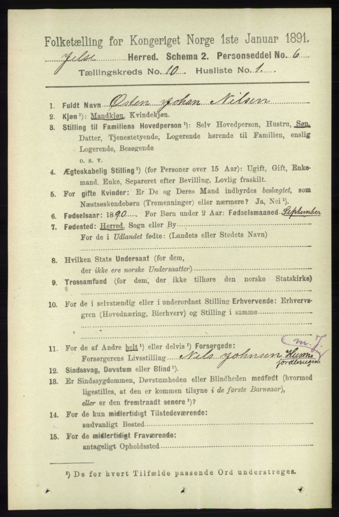 RA, 1891 census for 1138 Jelsa, 1891, p. 2432