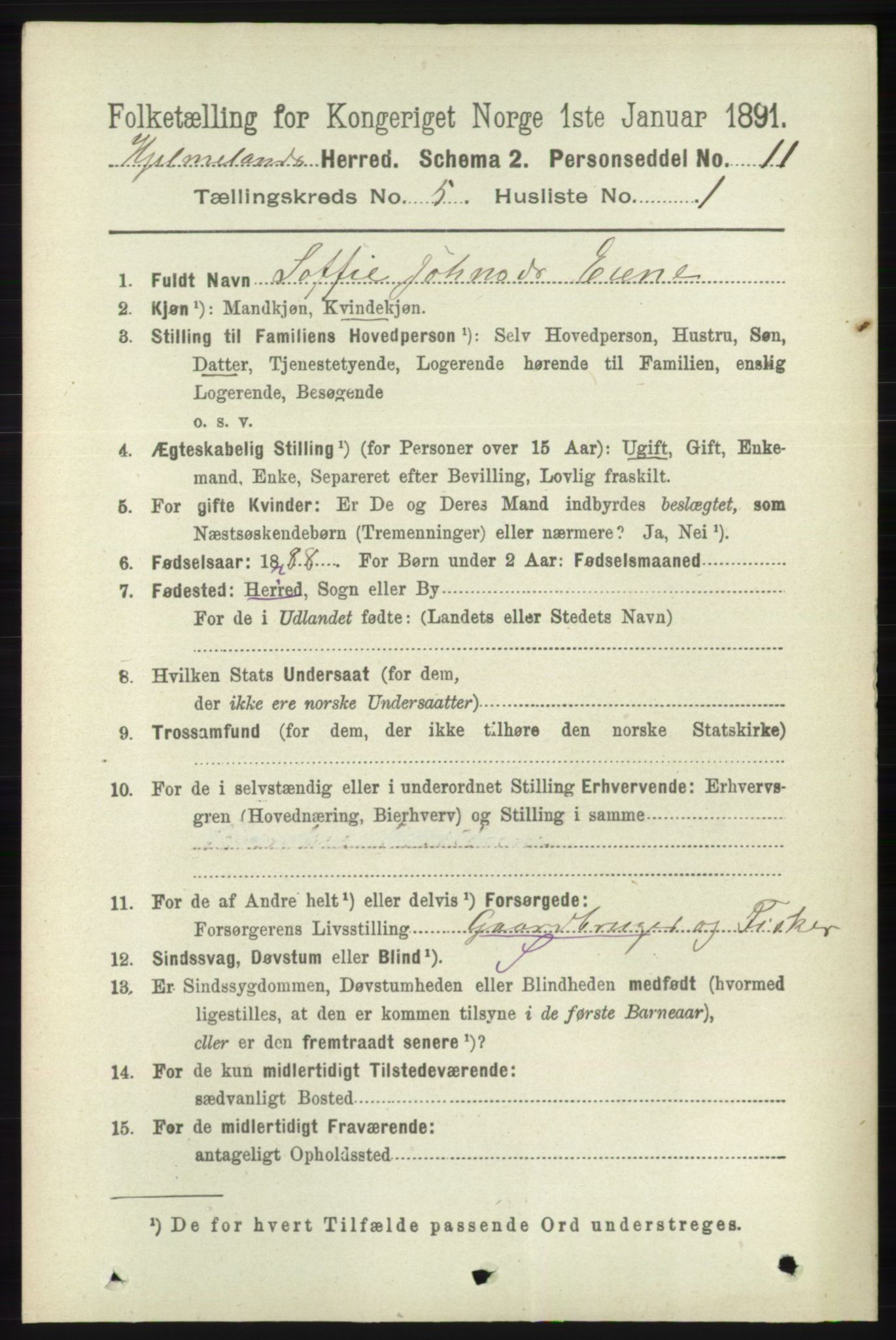 RA, 1891 census for 1133 Hjelmeland, 1891, p. 1161