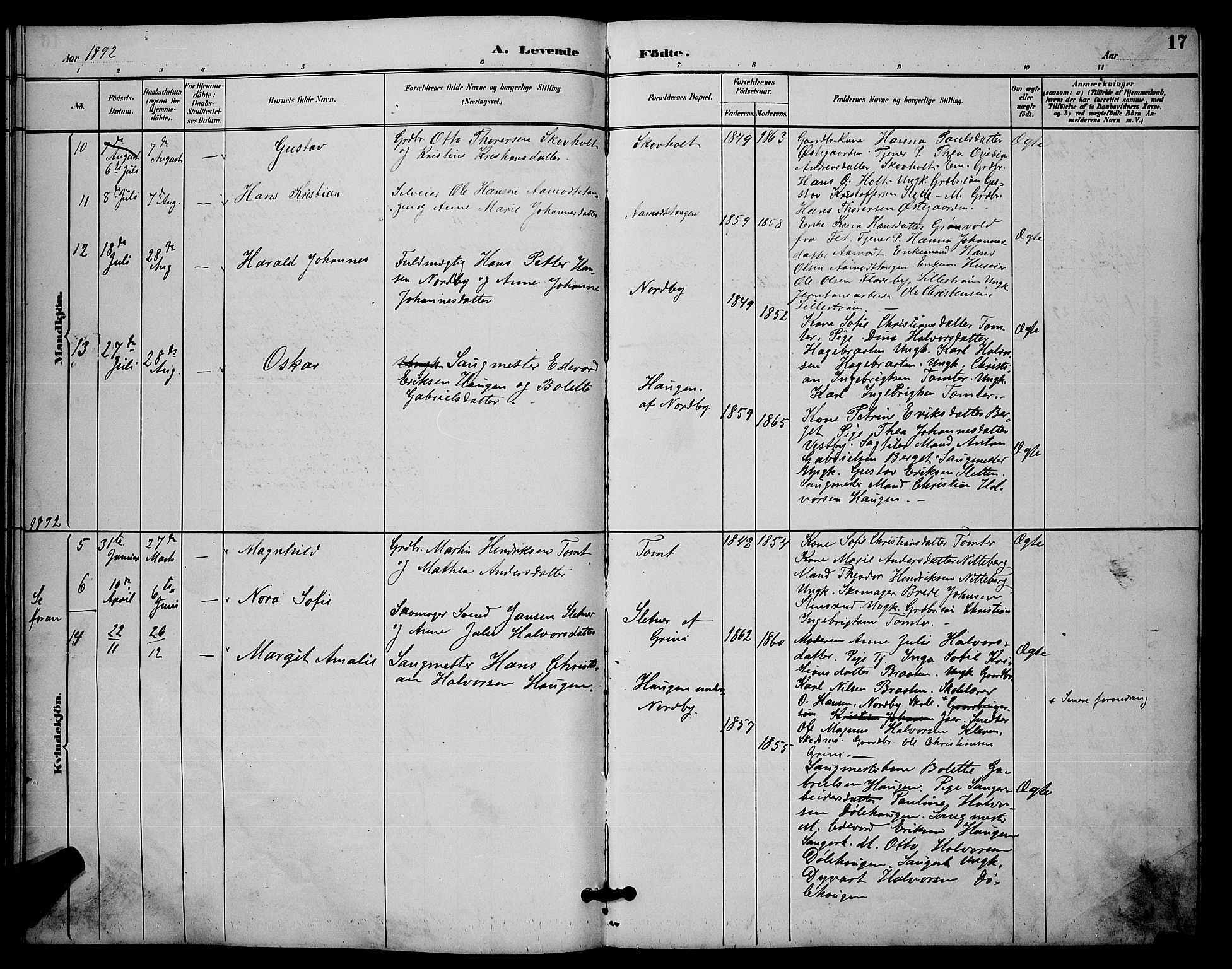 Fet prestekontor Kirkebøker, SAO/A-10370a/G/Gb/L0003: Parish register (copy) no. II 3, 1888-1894, p. 17