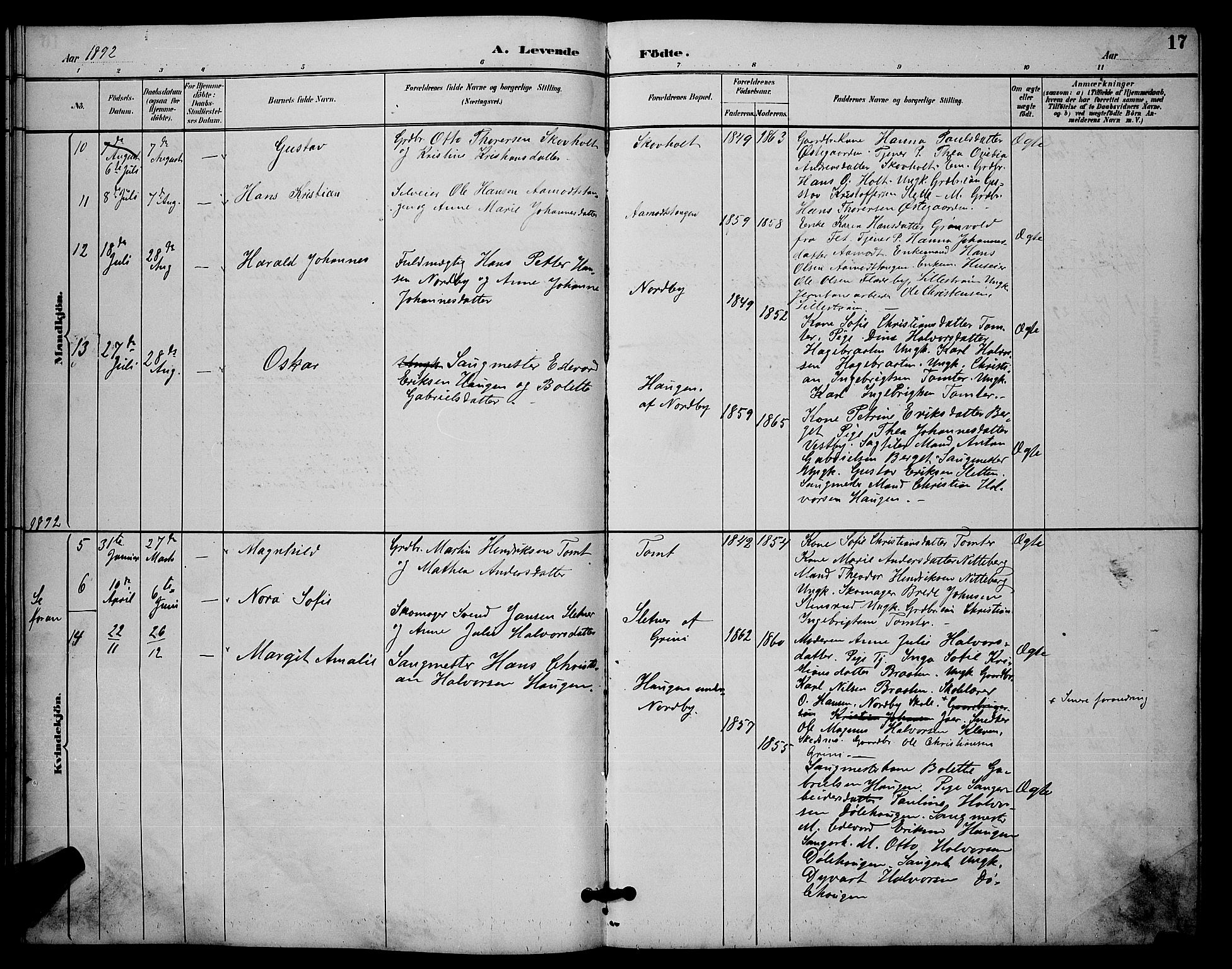 Fet prestekontor Kirkebøker, AV/SAO-A-10370a/G/Gb/L0003: Parish register (copy) no. II 3, 1888-1894, p. 17