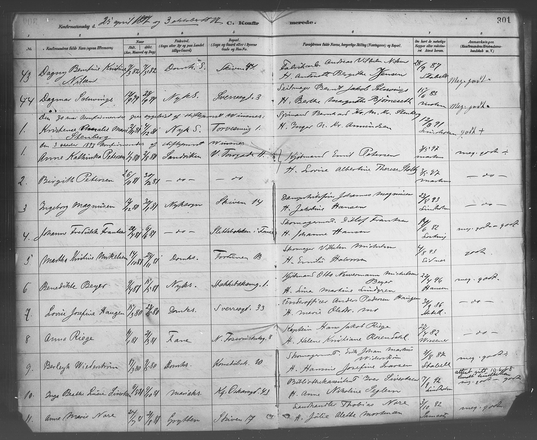 Domkirken sokneprestembete, AV/SAB-A-74801/H/Haa/L0030: Parish register (official) no. C 5, 1880-1898, p. 301