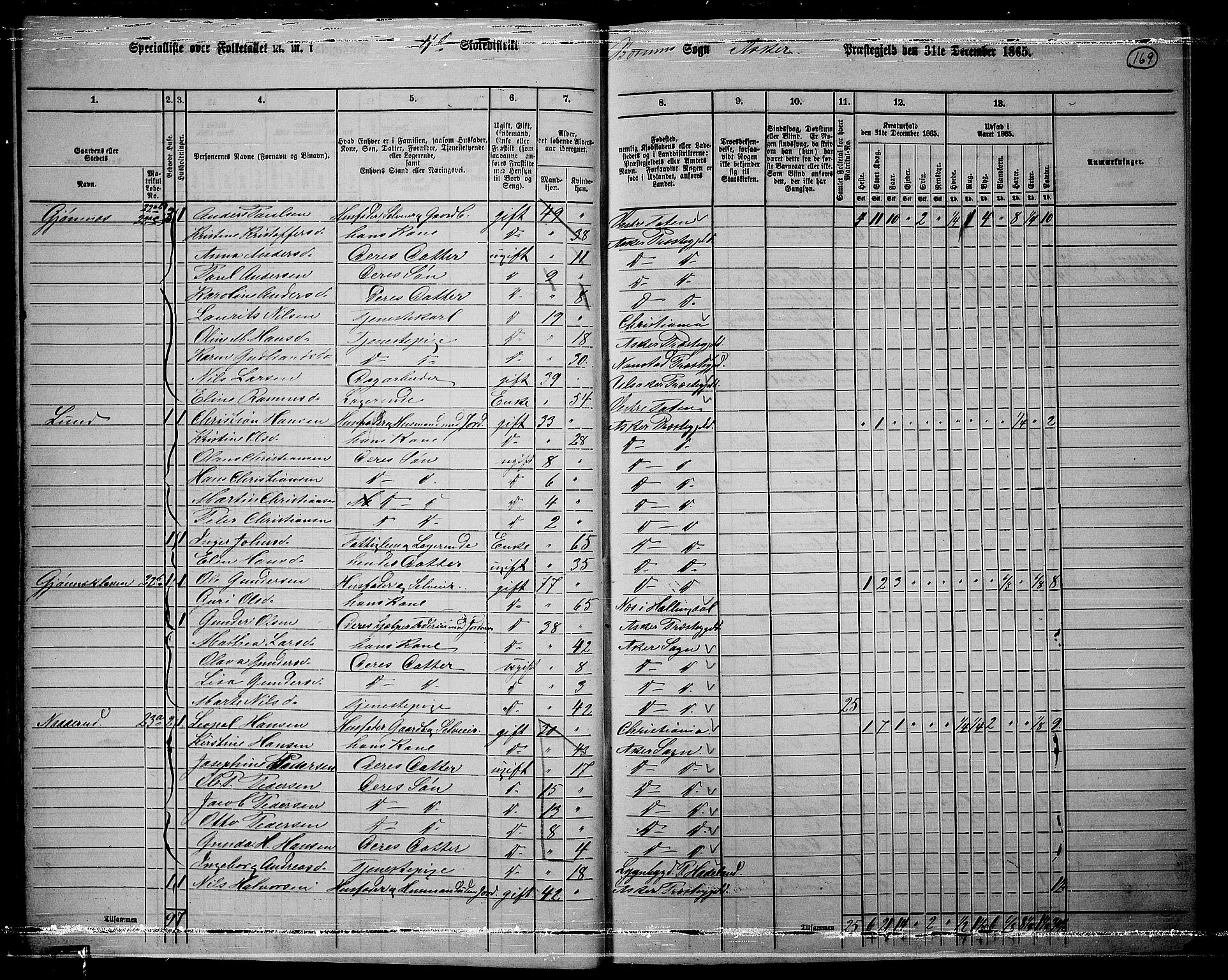 RA, 1865 census for Asker, 1865, p. 166