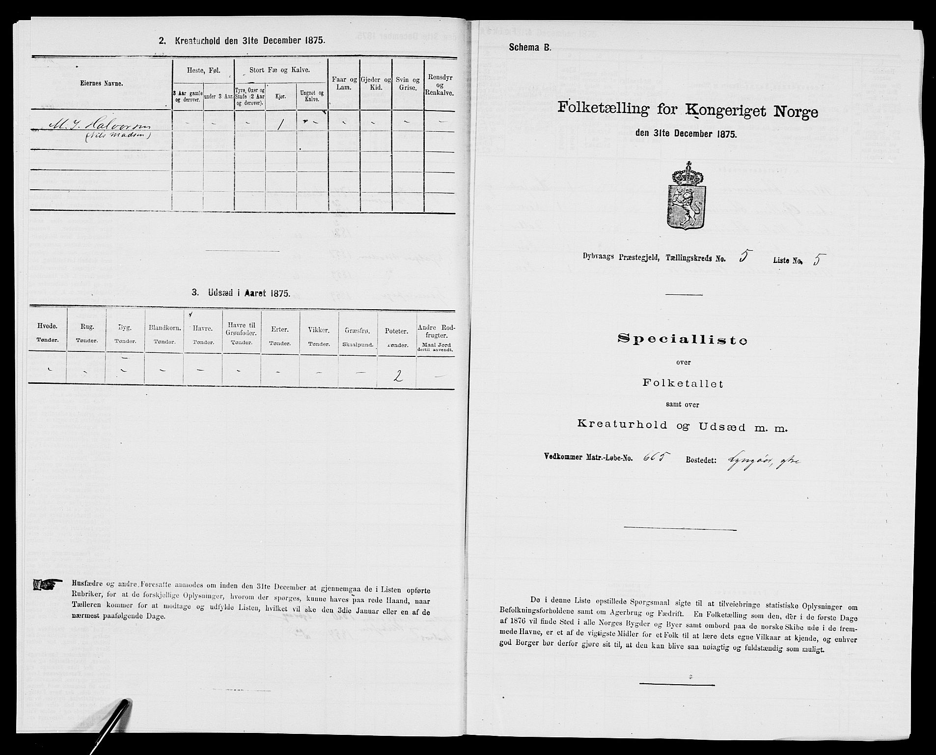 SAK, 1875 census for 0915P Dypvåg, 1875, p. 543