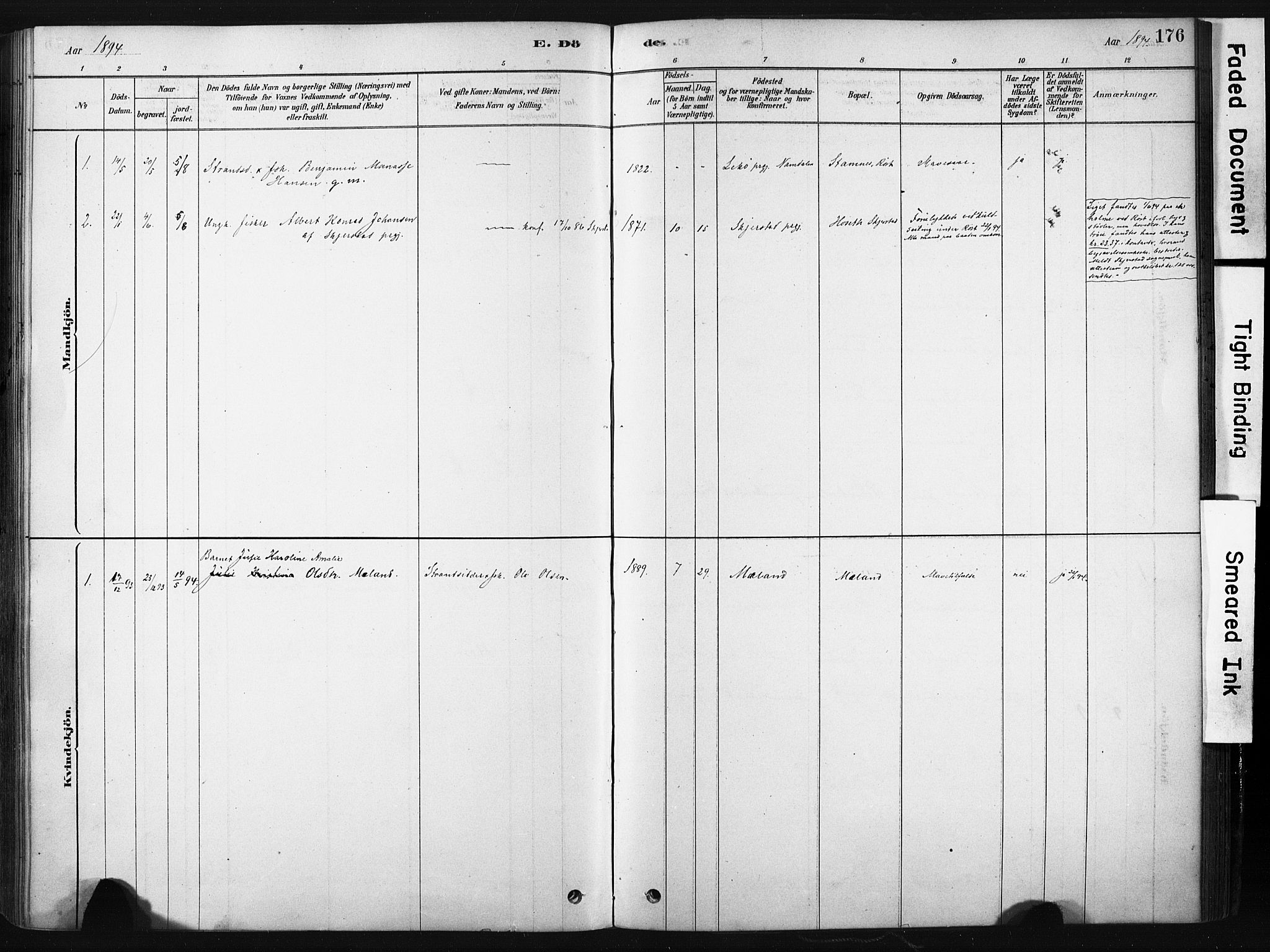 Ministerialprotokoller, klokkerbøker og fødselsregistre - Nordland, AV/SAT-A-1459/808/L0128: Parish register (official) no. 808A01, 1880-1902, p. 176