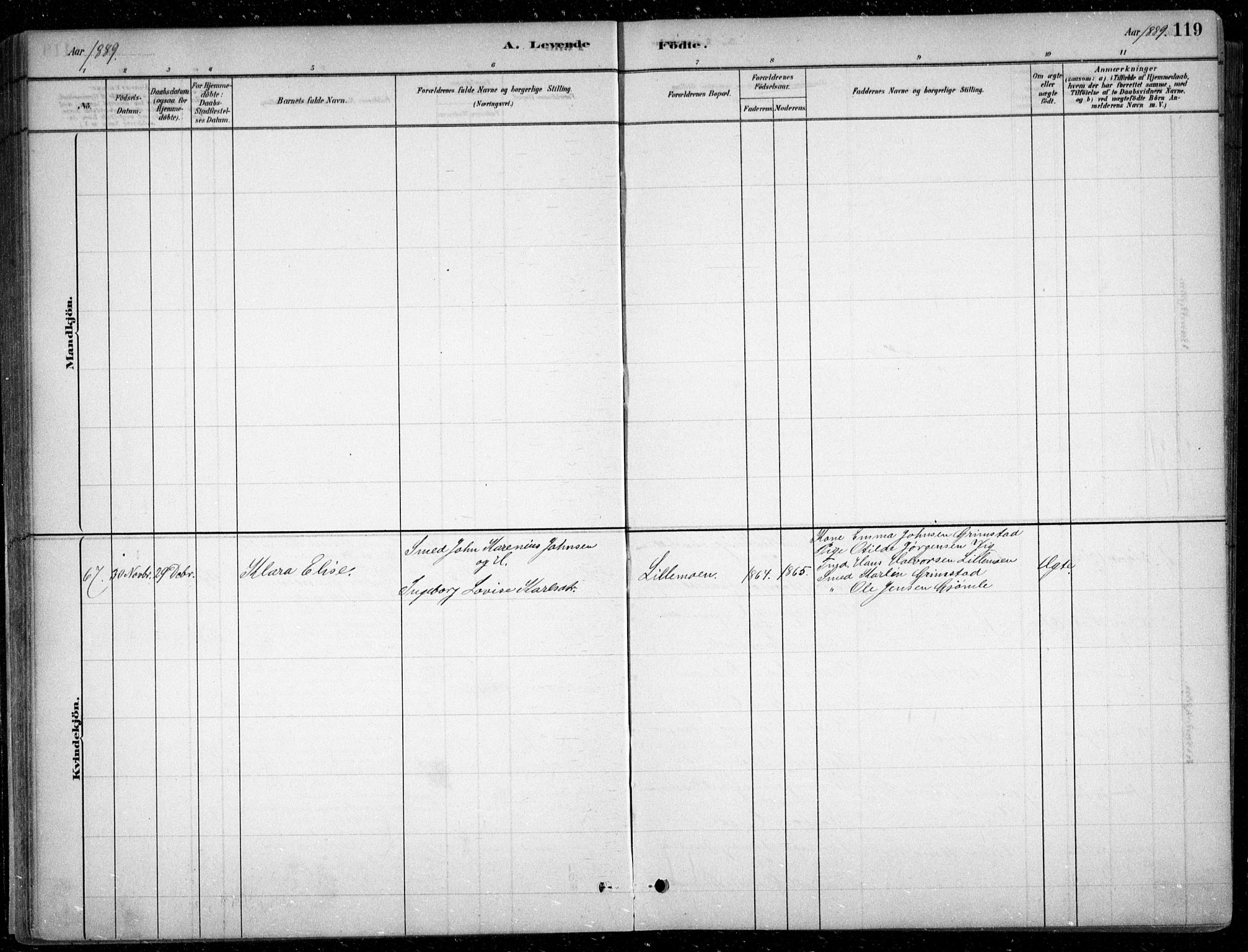 Fjære sokneprestkontor, AV/SAK-1111-0011/F/Fb/L0011: Parish register (copy) no. B 11, 1881-1905, p. 119