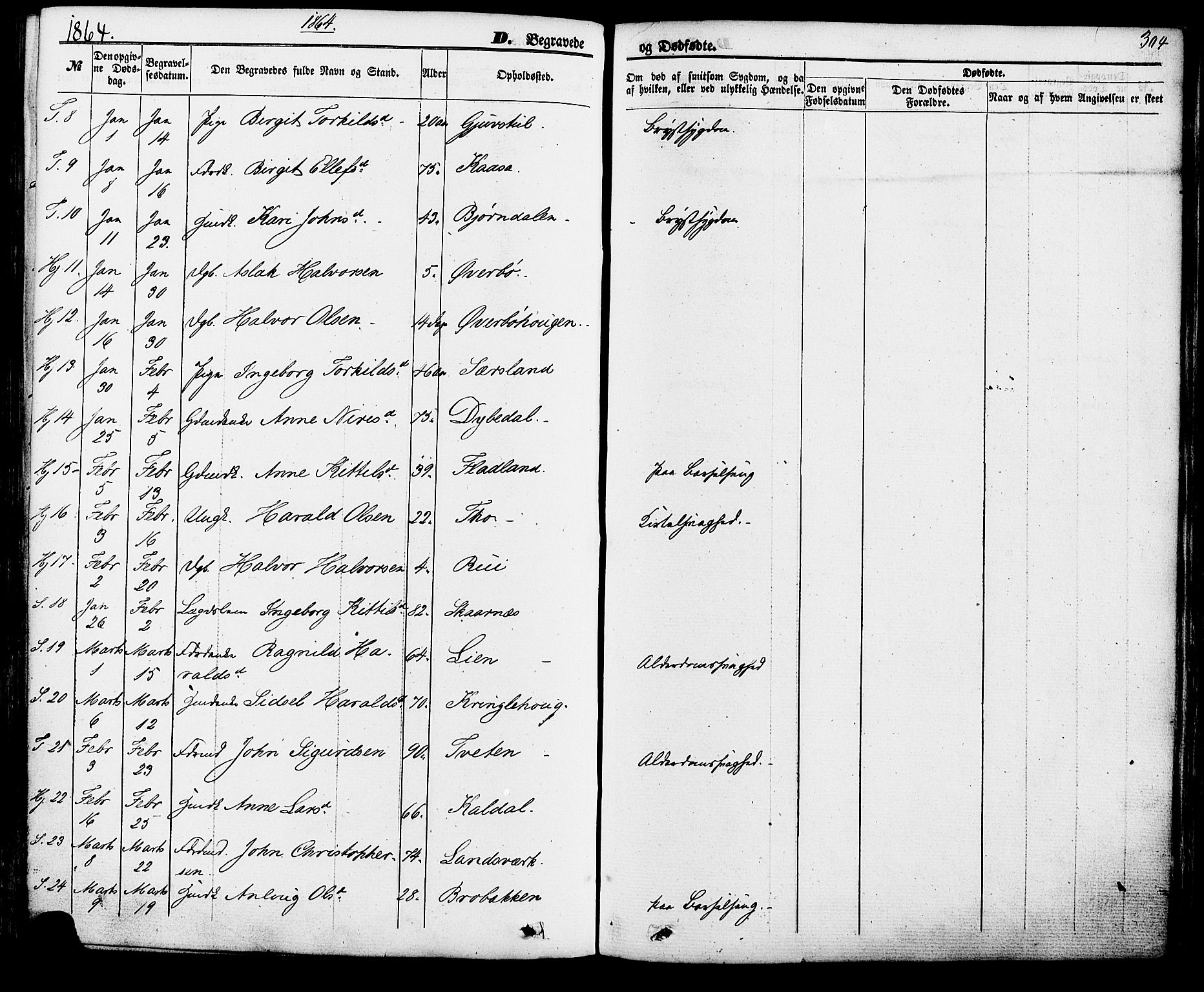 Hjartdal kirkebøker, SAKO/A-270/F/Fa/L0009: Parish register (official) no. I 9, 1860-1879, p. 304