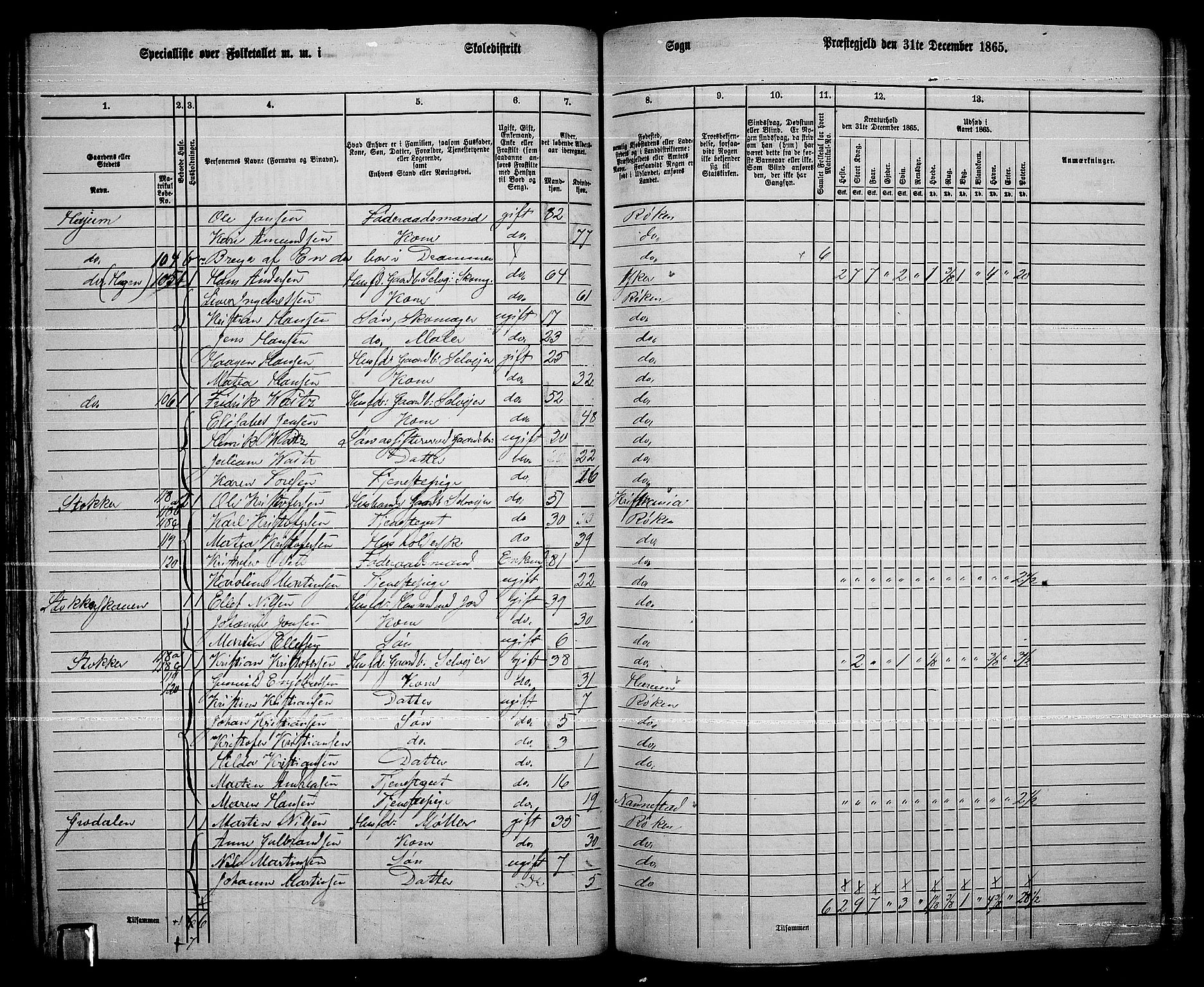 RA, 1865 census for Røyken, 1865, p. 52