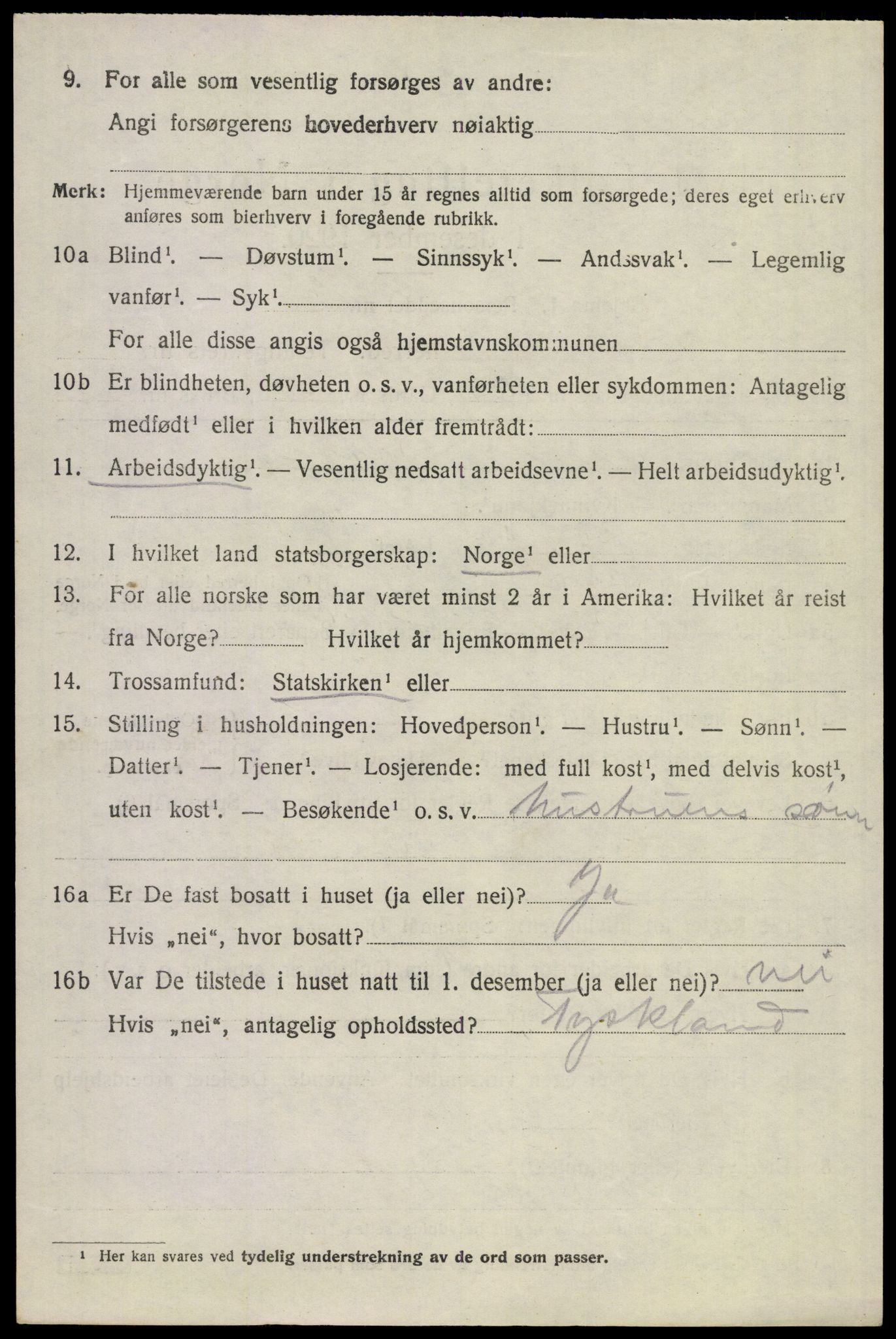 SAKO, 1920 census for Borre, 1920, p. 6095