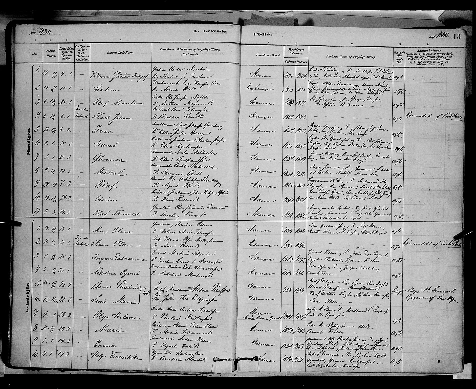 Vang prestekontor, Hedmark, AV/SAH-PREST-008/H/Ha/Haa/L0016: Parish register (official) no. 16, 1878-1889, p. 13