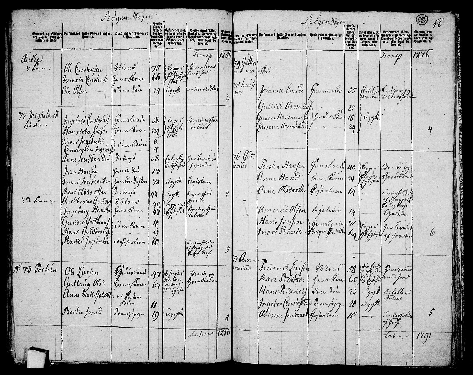 RA, 1801 census for 0627P Røyken, 1801, p. 584b-585a