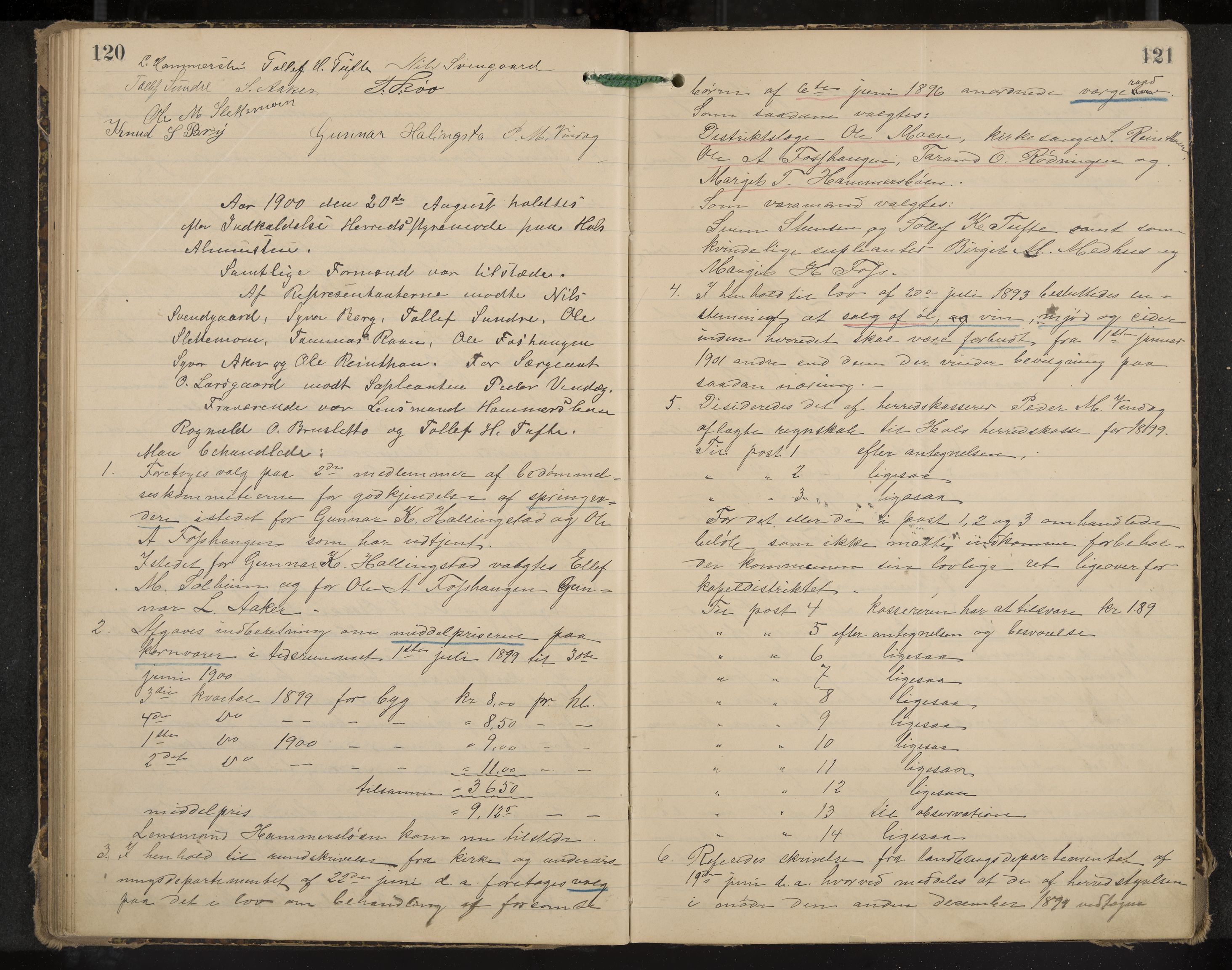 Hol formannskap og sentraladministrasjon, IKAK/0620021-1/A/L0003: Møtebok, 1897-1904, p. 120-121