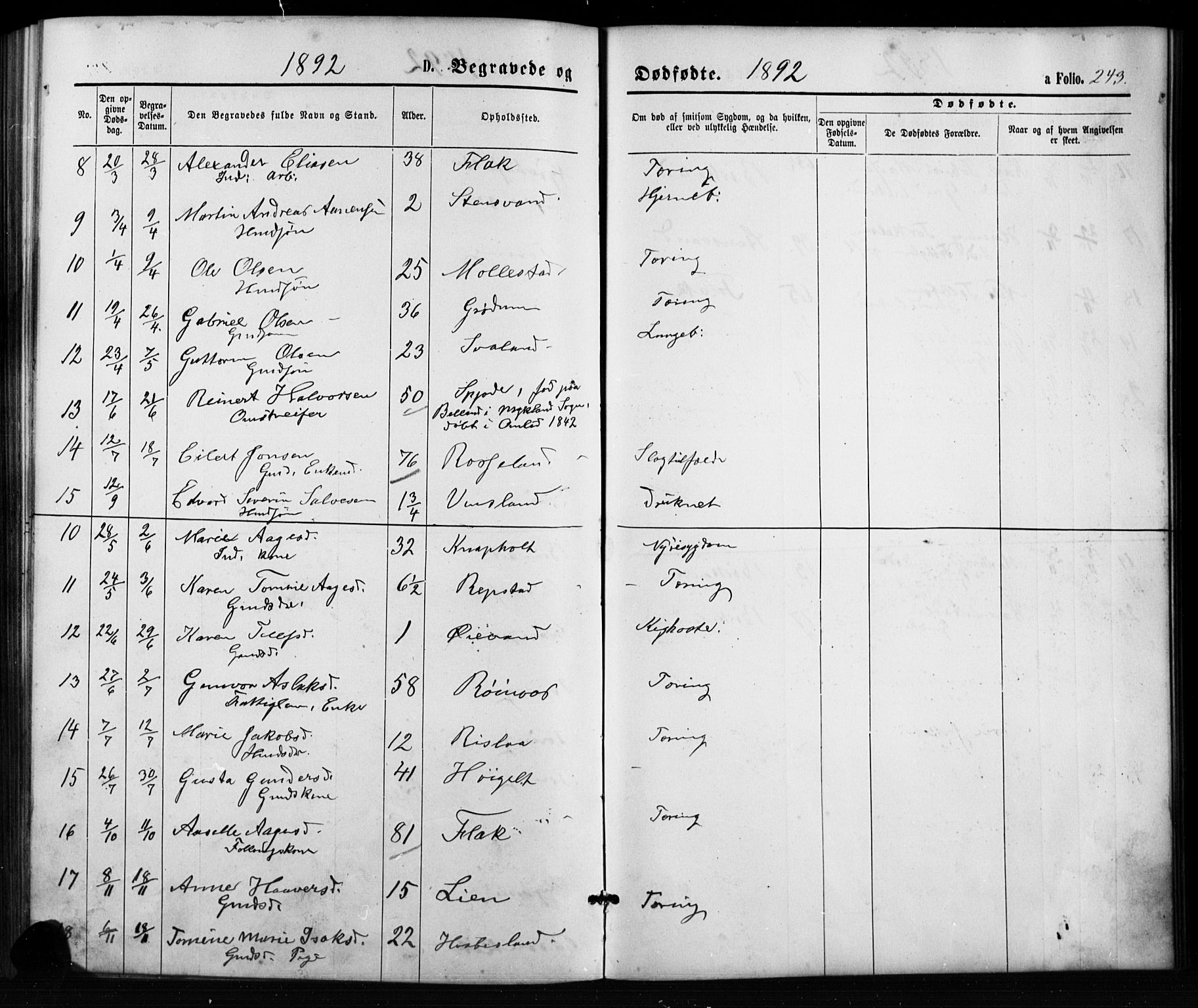 Birkenes sokneprestkontor, SAK/1111-0004/F/Fb/L0003: Parish register (copy) no. B 3, 1876-1892, p. 243