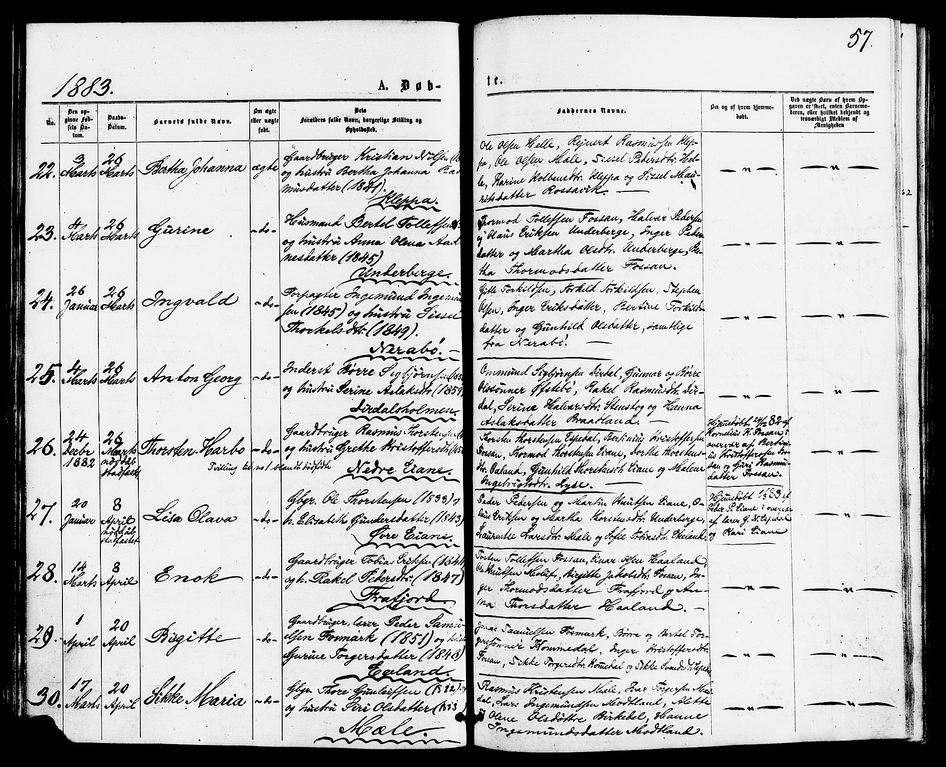 Høgsfjord sokneprestkontor, SAST/A-101624/H/Ha/Haa/L0004: Parish register (official) no. A 4, 1876-1884, p. 57