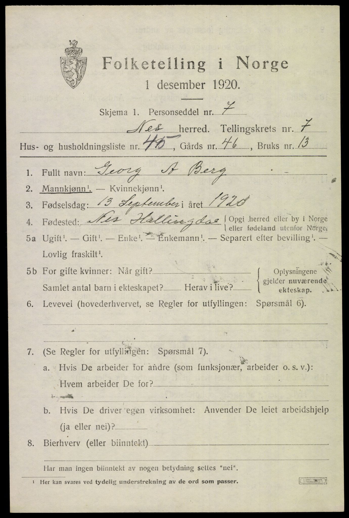 SAKO, 1920 census for Nes (Buskerud), 1920, p. 5004