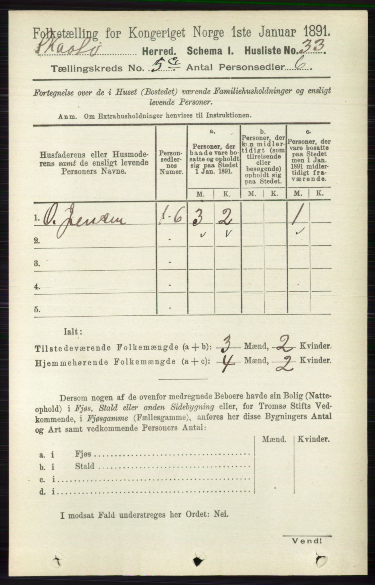 RA, 1891 census for 0815 Skåtøy, 1891, p. 2668