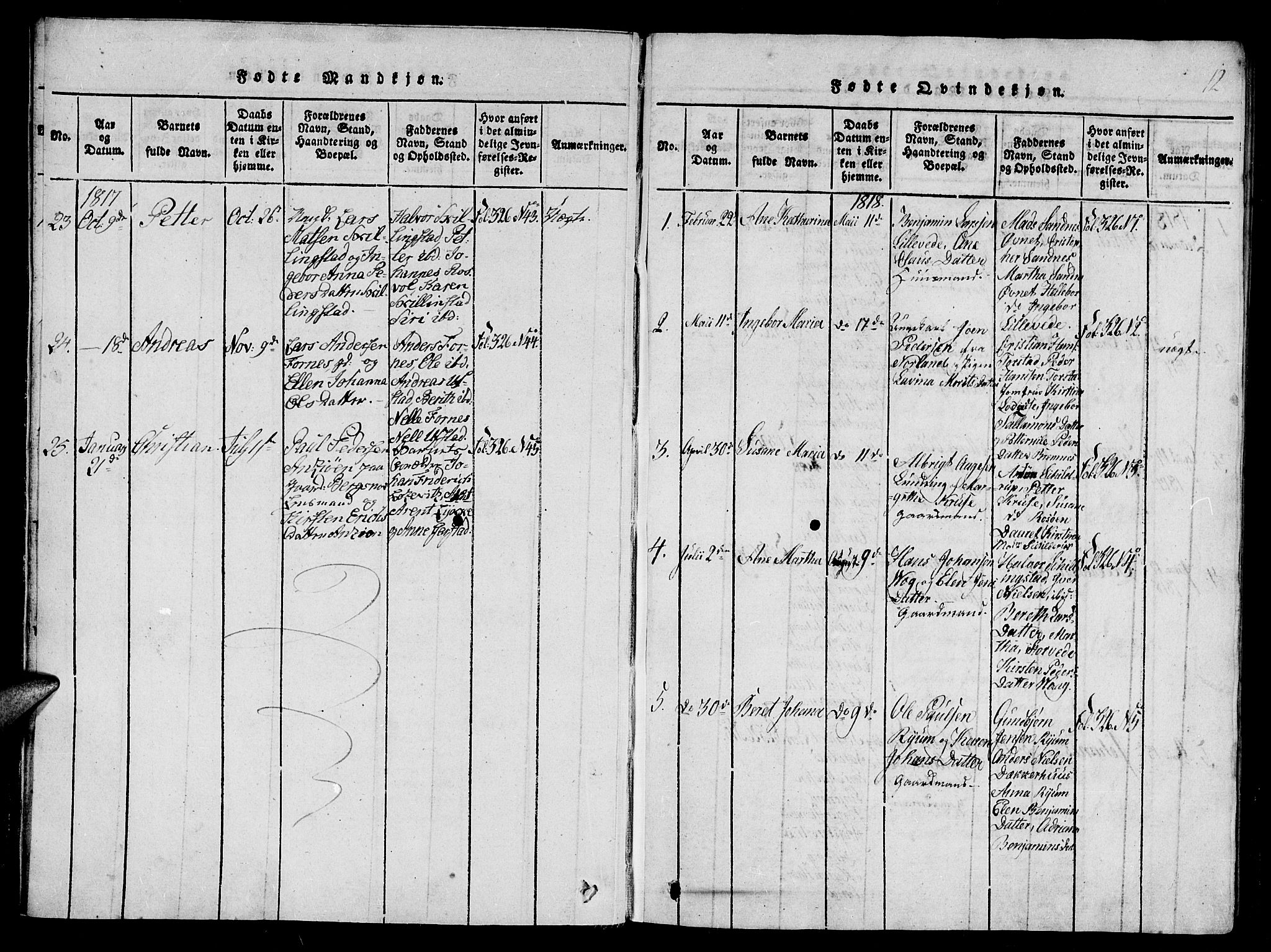 Ministerialprotokoller, klokkerbøker og fødselsregistre - Nord-Trøndelag, AV/SAT-A-1458/784/L0667: Parish register (official) no. 784A03 /1, 1816-1829, p. 12