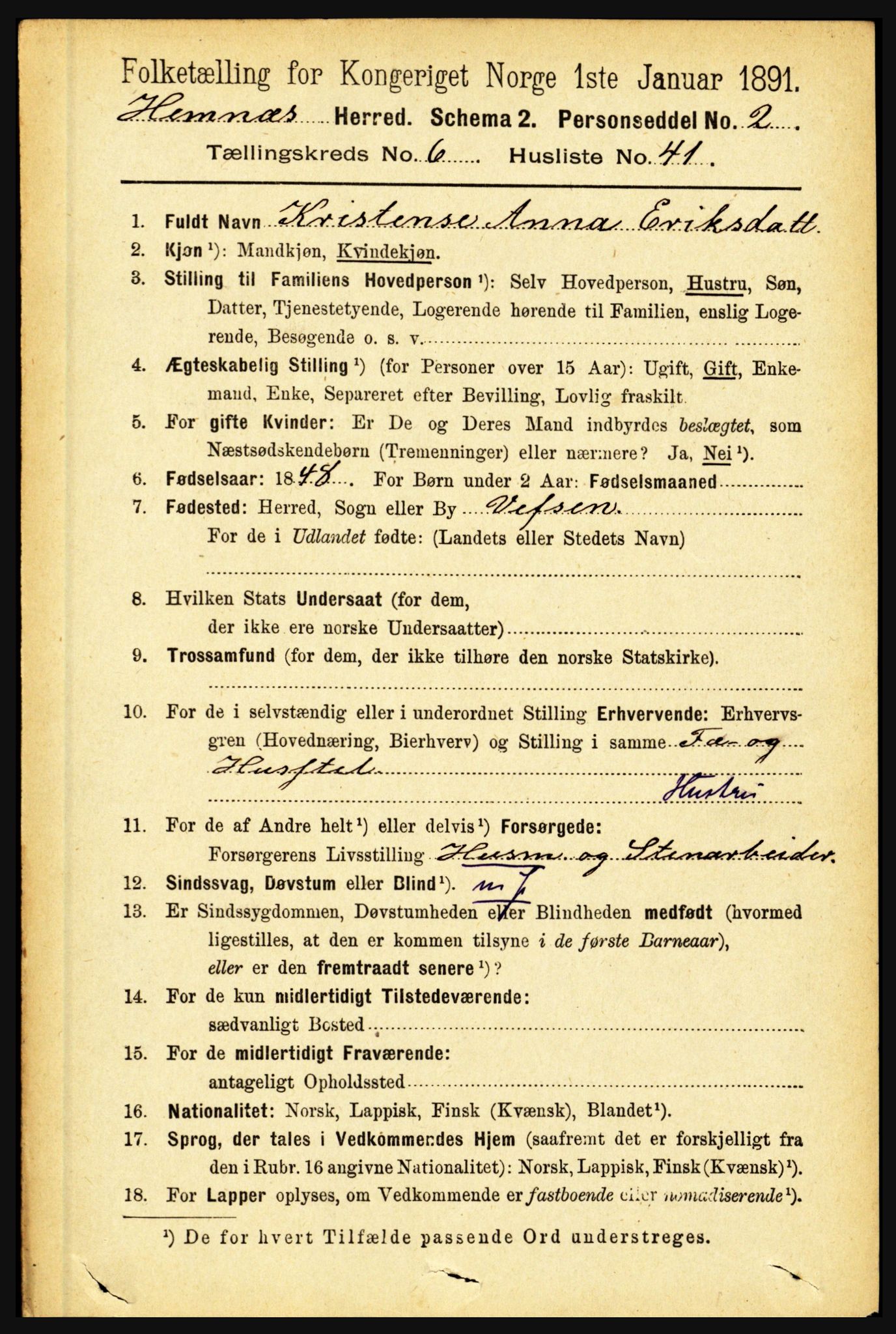 RA, 1891 census for 1832 Hemnes, 1891, p. 3196