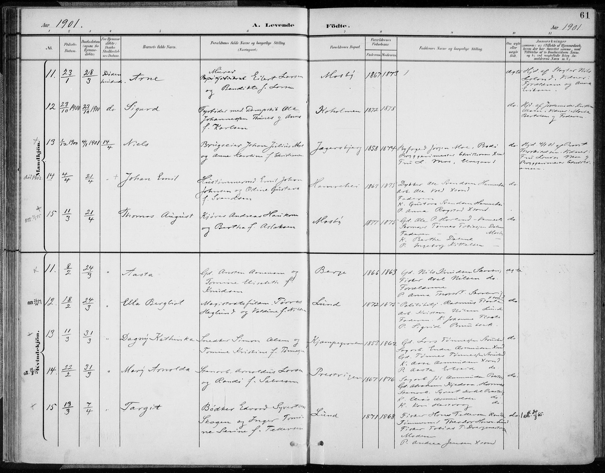 Oddernes sokneprestkontor, SAK/1111-0033/F/Fa/Faa/L0010: Parish register (official) no. A 10, 1897-1911, p. 61