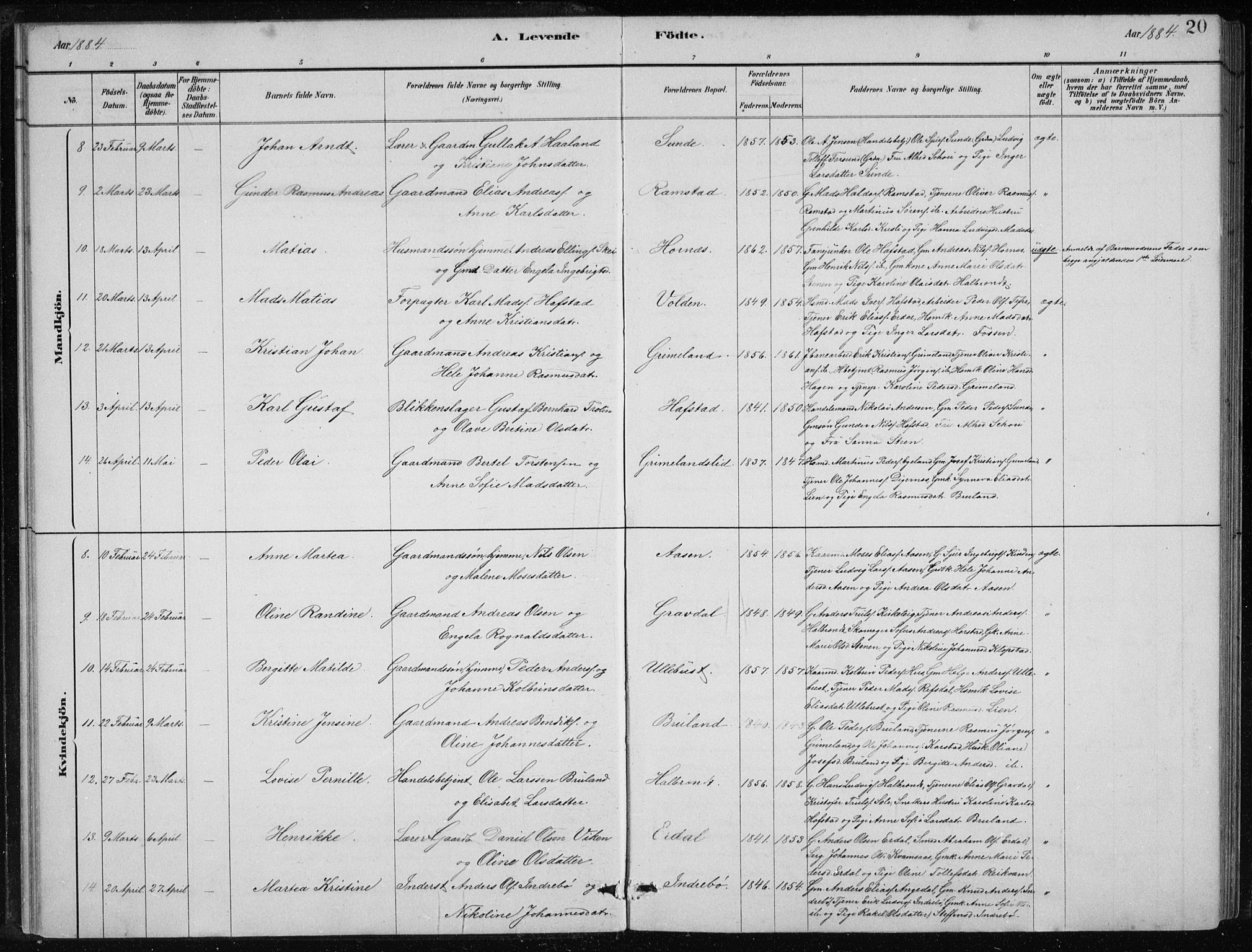 Førde sokneprestembete, AV/SAB-A-79901/H/Hab/Haba/L0002: Parish register (copy) no. A 2, 1881-1898, p. 20