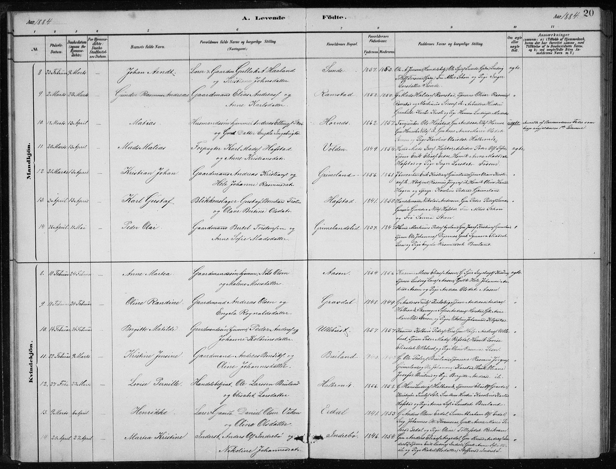 Førde sokneprestembete, SAB/A-79901/H/Hab/Haba/L0002: Parish register (copy) no. A 2, 1881-1898, p. 20