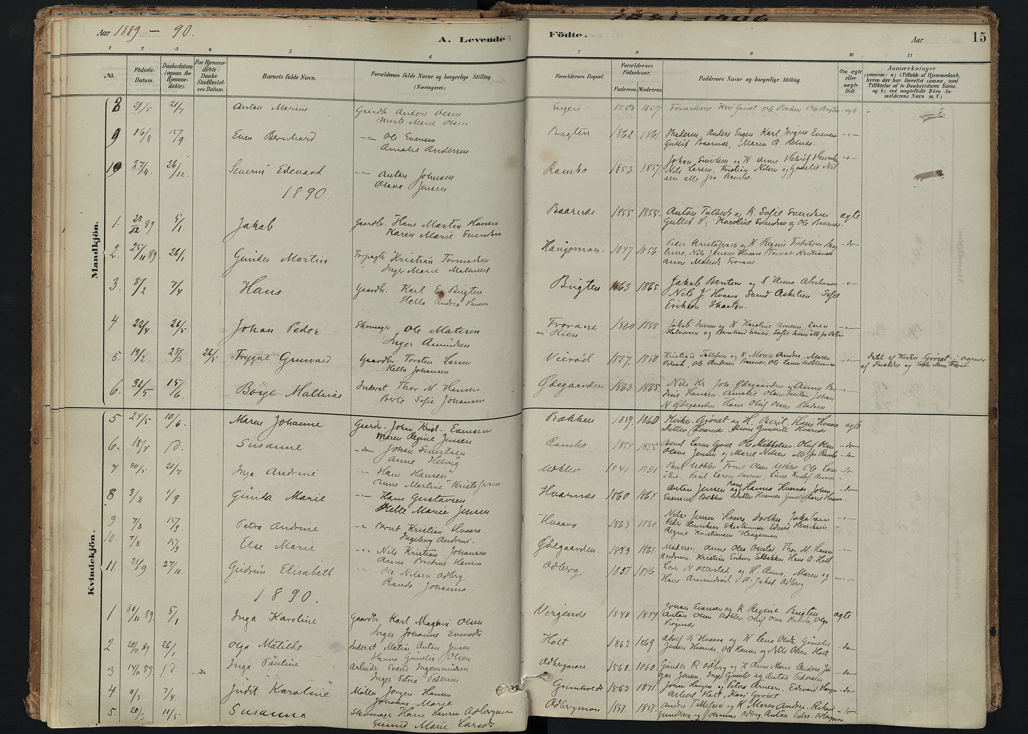 Hedrum kirkebøker, SAKO/A-344/F/Fc/L0001: Parish register (official) no. III 1, 1881-1906, p. 15