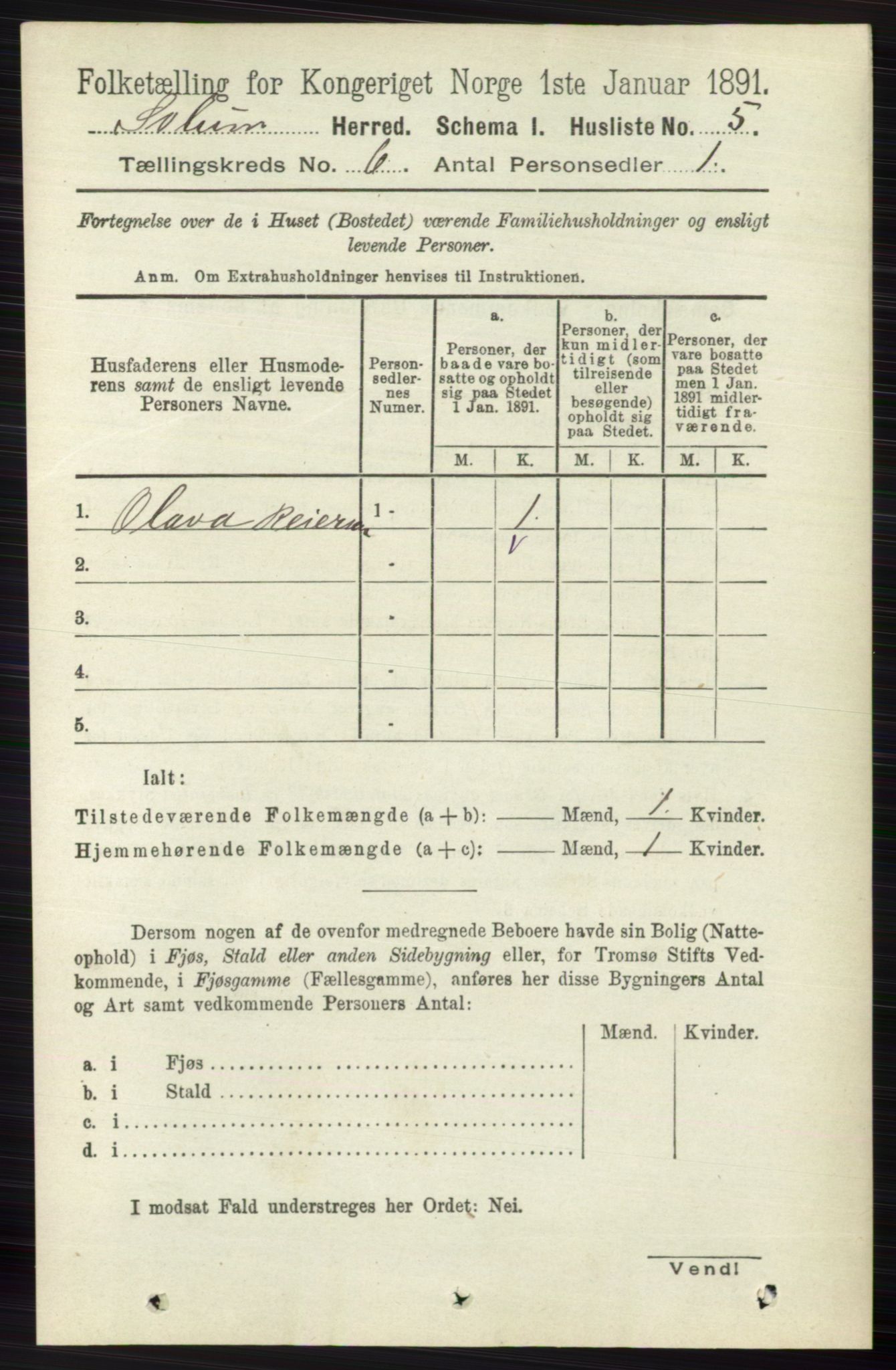 RA, 1891 census for 0818 Solum, 1891, p. 1070