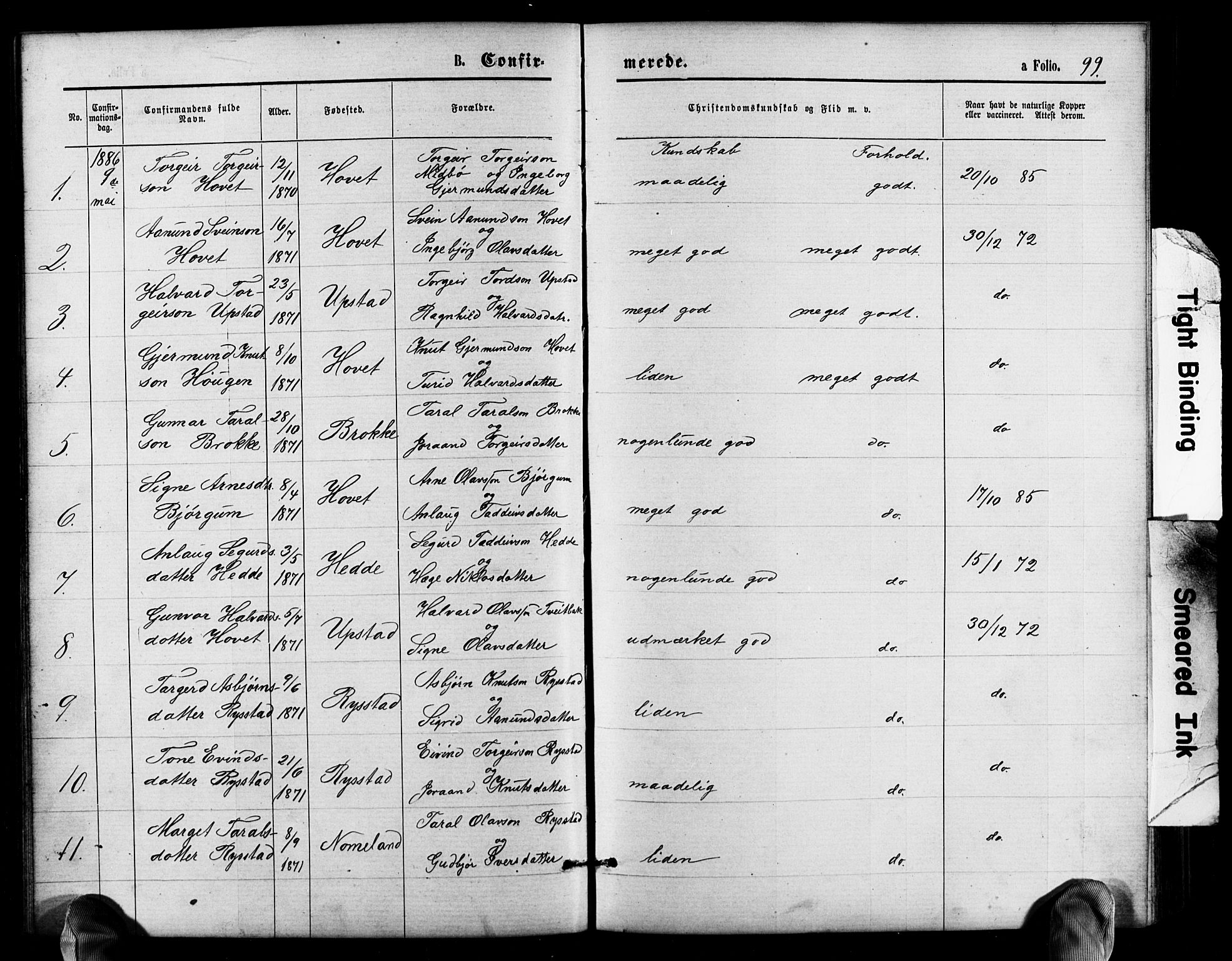 Valle sokneprestkontor, SAK/1111-0044/F/Fb/Fbb/L0002: Parish register (copy) no. B 2, 1875-1921, p. 99