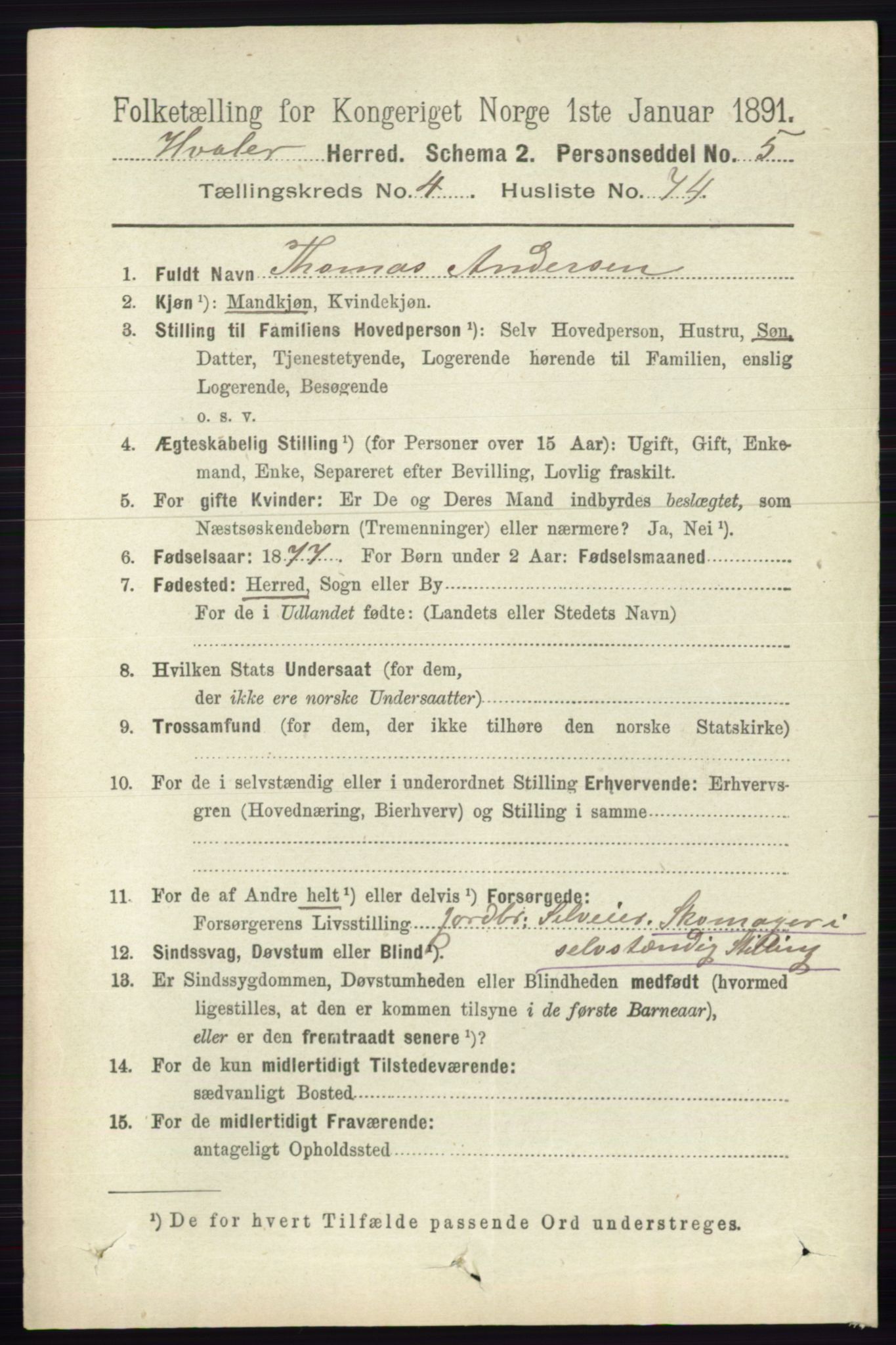 RA, 1891 census for 0111 Hvaler, 1891, p. 3037