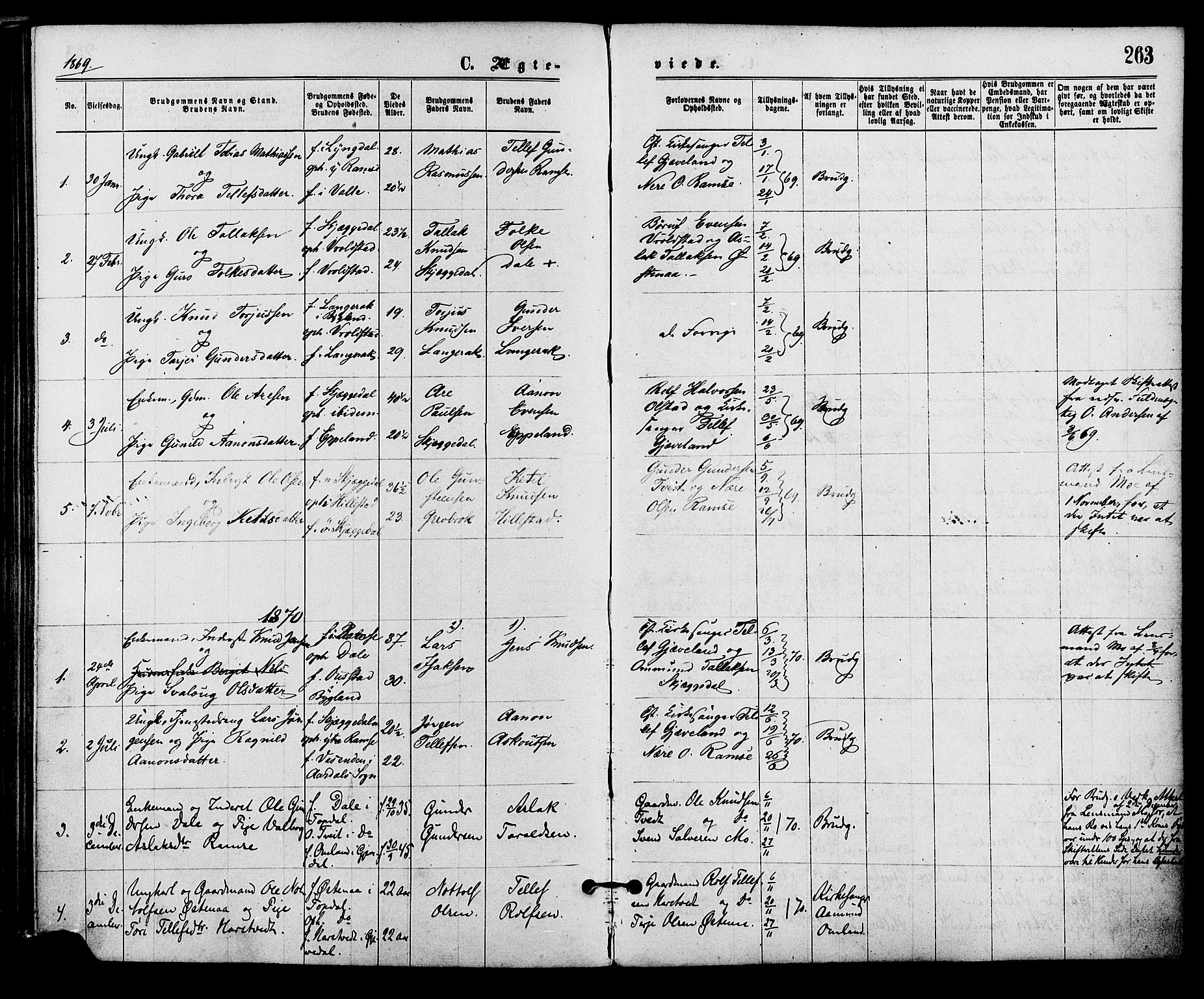 Åmli sokneprestkontor, AV/SAK-1111-0050/F/Fa/Fac/L0009: Parish register (official) no. A 9 /3, 1869-1884, p. 263