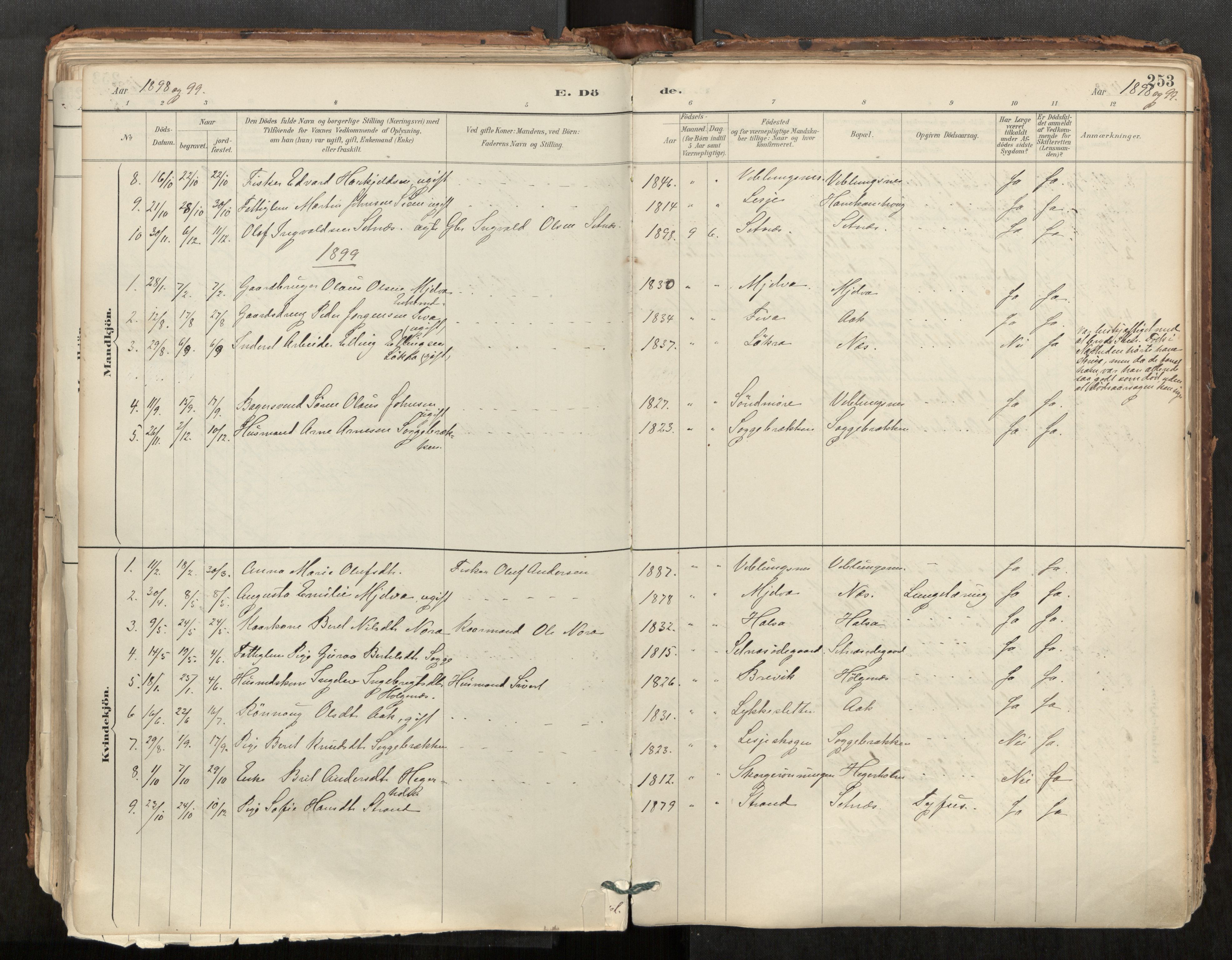 Ministerialprotokoller, klokkerbøker og fødselsregistre - Møre og Romsdal, AV/SAT-A-1454/544/L0585: Parish register (official) no. 544A06, 1887-1924, p. 253